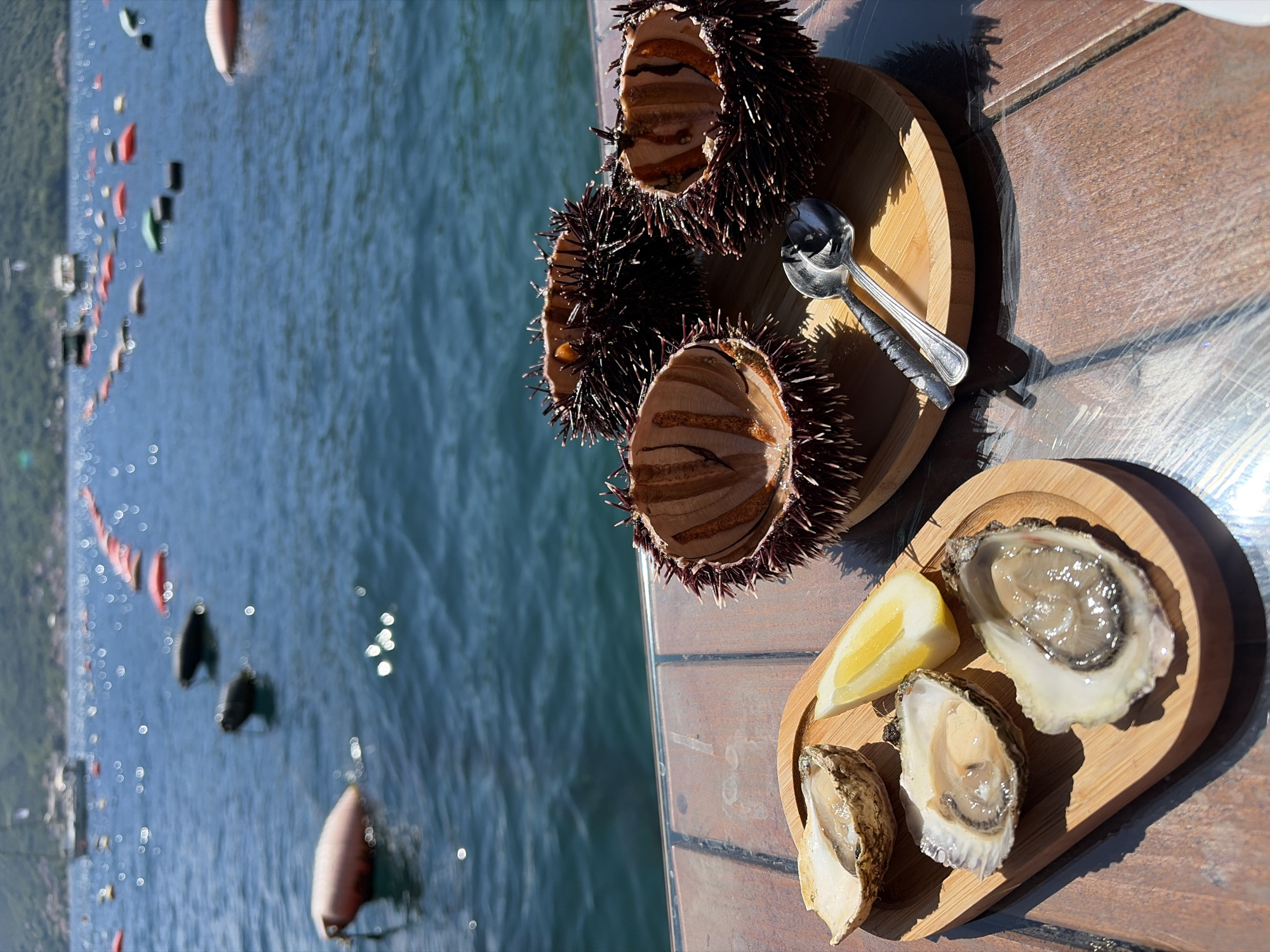 On a sunny day at Dražin Vrt, Montenegro, a wooden table overlooks the water. Three halved sea urchins with spoons rest on a small wooden tray. Next to it, another tray holds two open oysters and a lemon wedge. In the background, the blue water sparkles, dotted with floats and moored boats.