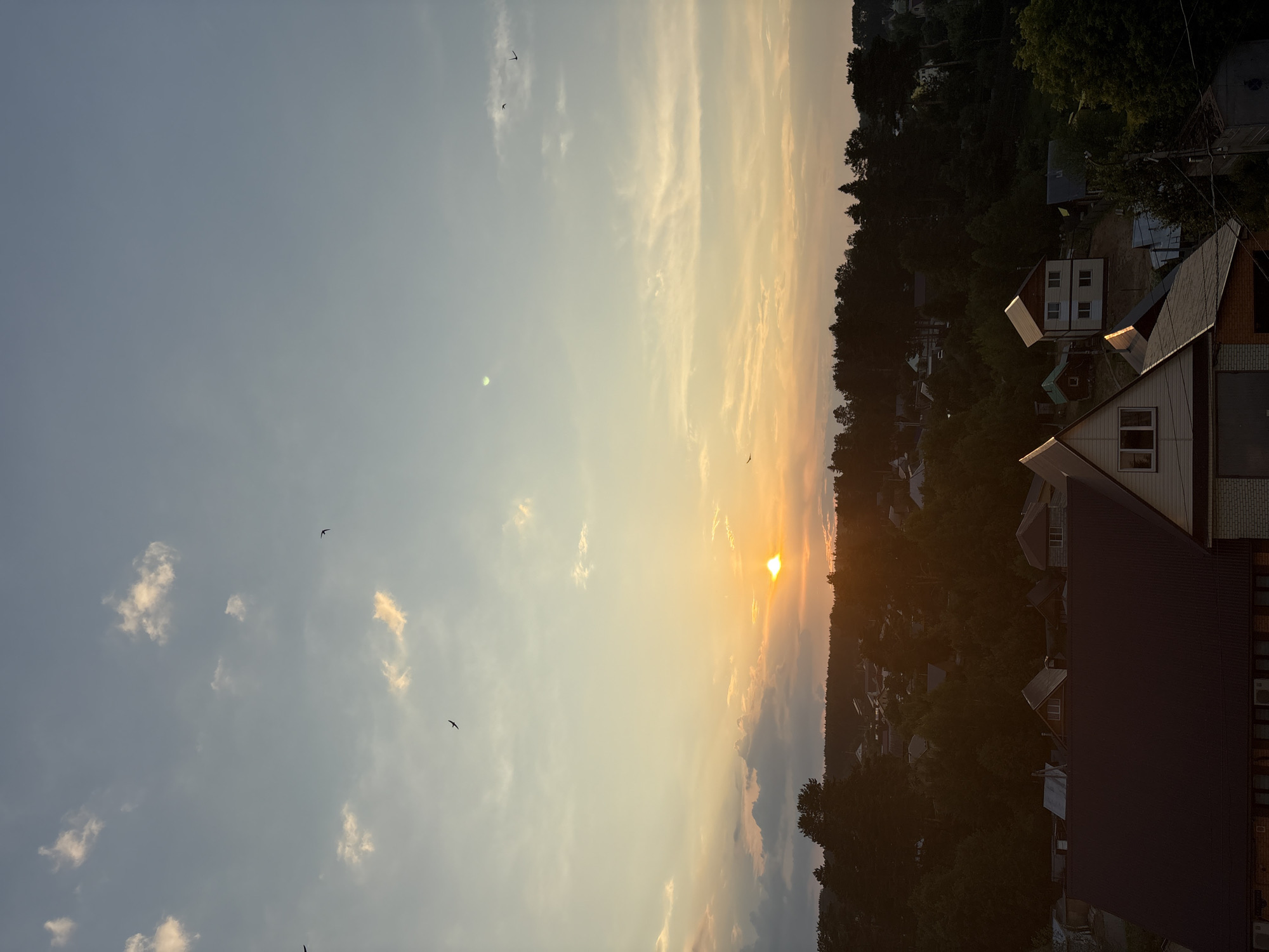 This is a high-angle, vertical shot of a sunset over a rural residential area in Chaikovsky, Russia. The sky dominates the upper two-thirds of the frame, transitioning from a pale blue at the top to a warm orange and yellow near the horizon, indicating the setting sun. Several white and wispy clouds are scattered across the sky, with a few darker clouds closer to the sun, partially obscuring it. A bright sun disc is visible on the horizon line, casting a warm glow. Several small, dark silhouettes of birds are scattered throughout the sky.
The lower third of the image shows a dense canopy of dark green trees, with a scattering of houses nestled within. The houses are of various sizes and architectural styles, with pitched roofs, many of which are dark in color. Some houses are brightly lit by the setting sun, while others are in shadow. The foreground features the roof of a building, which is a dark, reddish-brown color. The overall impression is a peaceful, rural evening scene.