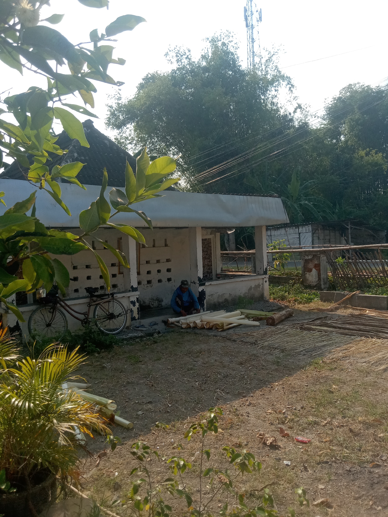 The image depicts an outdoor scene in Stiaji, Indonesia, bathed in bright sunlight. In the foreground, lush green foliage, possibly from a palm plant, partially obscures the view. To the left, a brown bicycle with a red frame is parked next to a building with a white facade and a dark, angled roof. The building has openings with decorative brickwork. A person wearing a blue shirt and dark pants is crouched on the ground in front of the building, interacting with a pile of long, cylindrical objects that appear to be made of bamboo or a similar material. These objects are arranged on the ground, with some partially stacked. Behind the building, a dense arrangement of trees creates a verdant backdrop. A telecommunications tower is visible above the trees in the distance. The ground is a mix of dirt and sparse vegetation. To the right of the building, a wooden fence-like structure is visible.