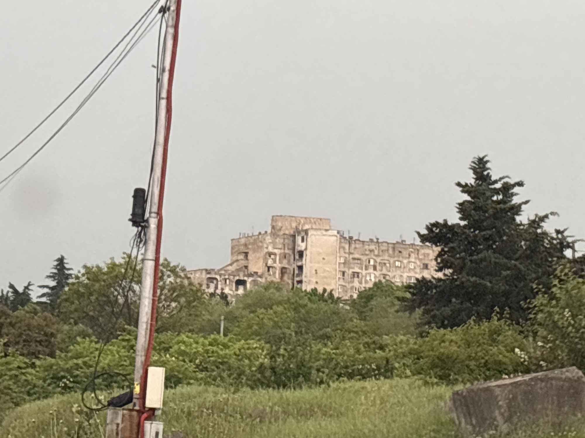 A medium shot captures a desolate, multi-story building, partially in ruin, situated in Tbilisi, Georgia. The overcast sky hangs heavy, casting a muted light on the scene. In the foreground, lush green grass and dense foliage obscure the lower levels of the structure. To the left, a tall utility pole with red and silver accents supports numerous wires and a black cylindrical device. The building itself, made of weathered concrete, exhibits signs of decay and disrepair, with numerous windows appearing broken or empty. A large evergreen tree stands prominently to the right of the building, its dark green needles contrasting with the lighter tones of the structure and the sky. The overall impression is one of abandonment and neglect, set against a backdrop of an urban landscape in Tbilisi.