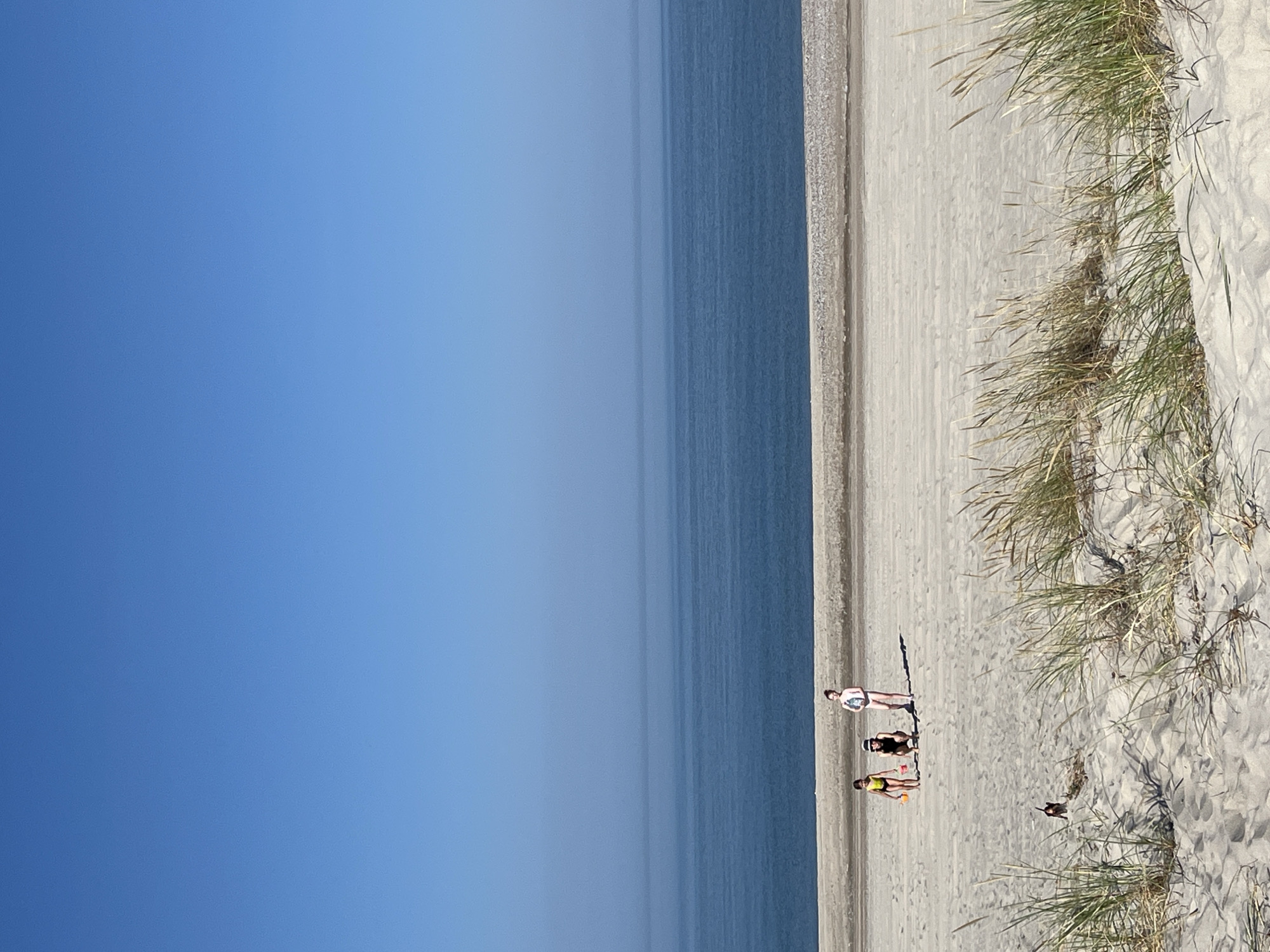 The image depicts a serene beach scene with a clear blue sky and calm blue ocean. In the foreground, sandy dunes with sparse dry grass stretch across the frame. Three children are visible on the beach. One child, wearing a yellow bikini, is holding a small orange bucket and spade. Another child, dressed in black, is crouched down. The third child, standing, is wearing a light-colored garment. Further back, a thin strip of sand and vegetation separates the beach from the ocean. The scene is tranquil and appears to be a sunny day.