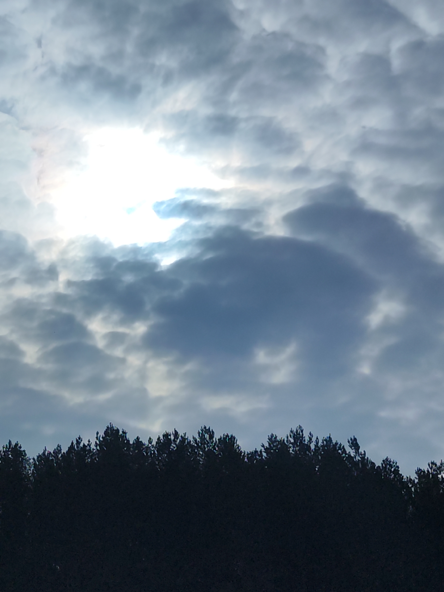 The image shows a view of a cloudy sky above a dark treeline. The sun is obscured by clouds, but its bright light still shines through. The location cannot be determined with the provided information.
