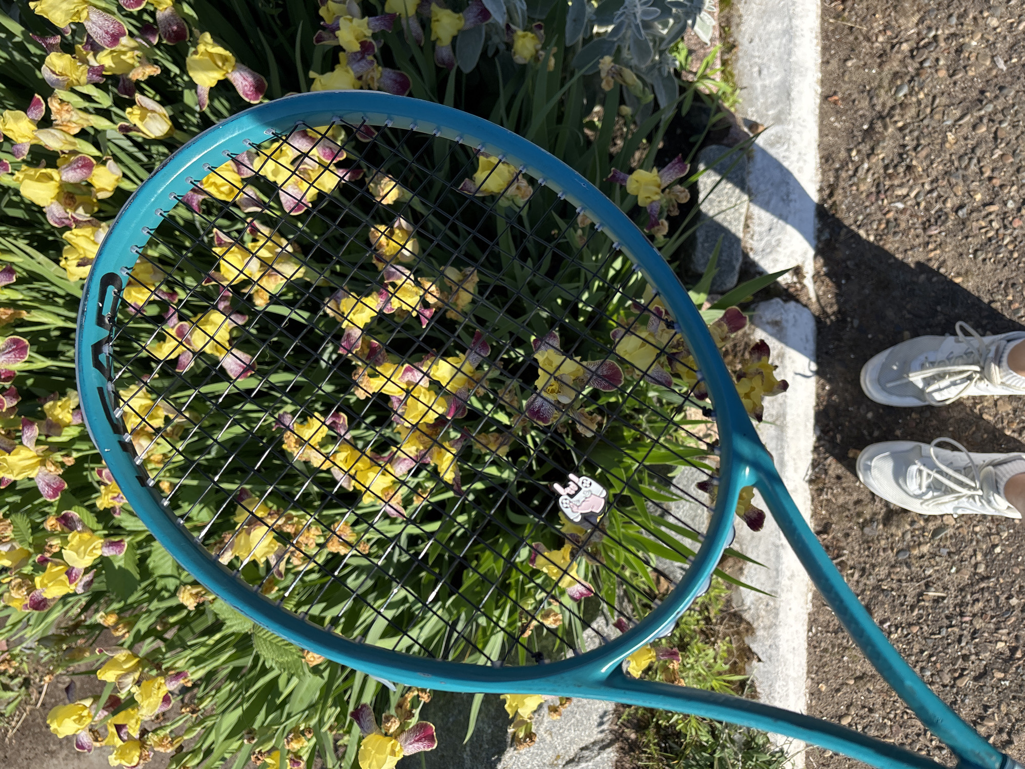A teal tennis racket rests diagonally in the frame, with its head angled downwards towards a bed of yellow and purple irises. A small, light-pink charm depicting a peace sign and game controllers is attached to the racket's strings. Below the racket, two pairs of white athletic shoes with light gray laces are visible on a gravelly surface. The shoes are positioned as if someone is standing, facing away from the camera. The background consists of lush green foliage interspersed with the blooming irises and a hint of a light gray concrete curb. The overall lighting suggests a sunny outdoor environment. The image does not provide any specific information to determine its location within Chaikovsky, Russia.