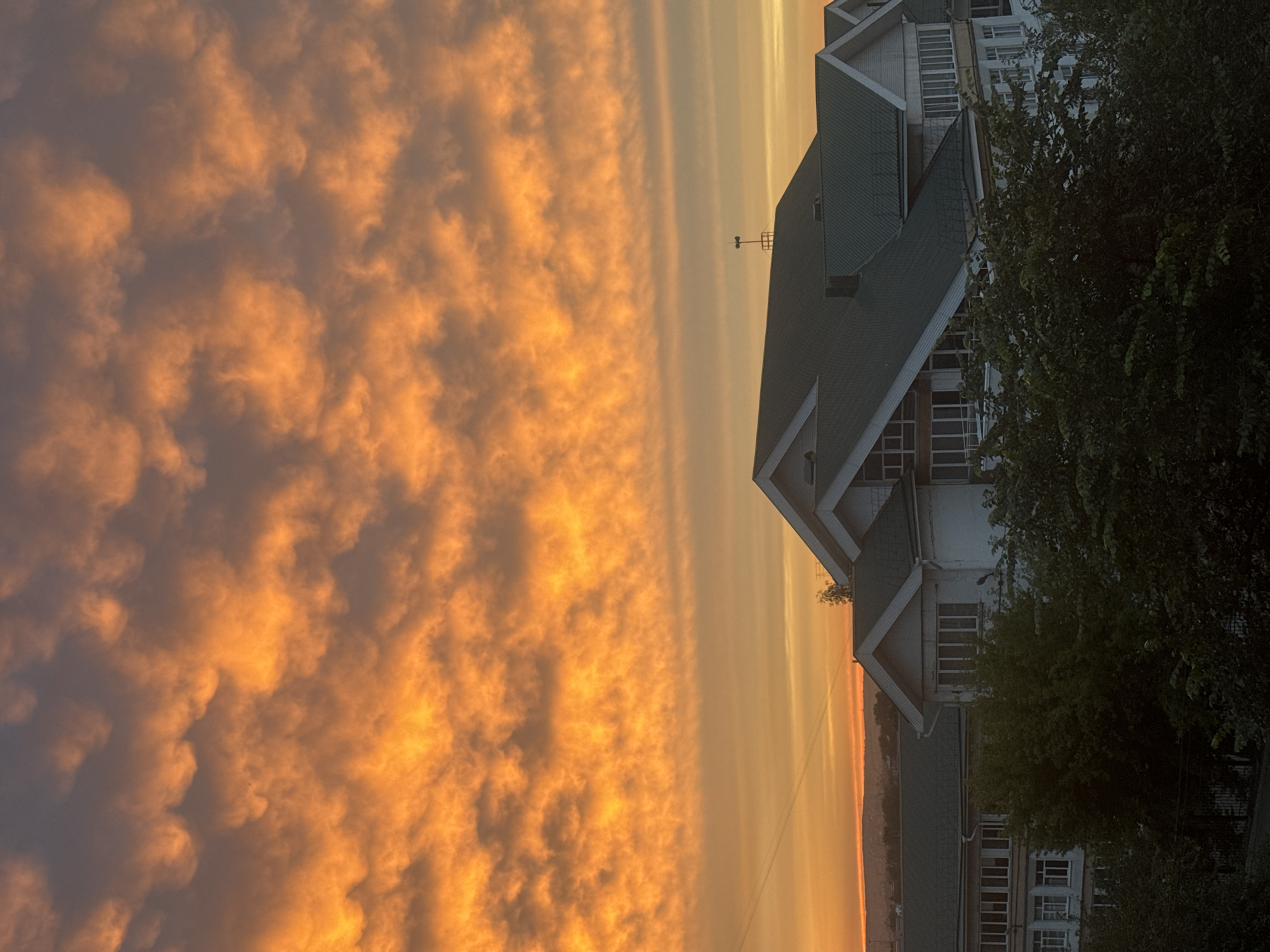 This is a vertical, eye-level, medium shot photograph of buildings with green roofs against a vibrant sunset sky. The sky is filled with dense, textured clouds that are illuminated with bright orange and yellow hues, creating a dramatic effect. In the foreground, the tops of large, leafy trees are visible. Behind the trees are parts of buildings with white walls and numerous windows. The building in the center has multiple gabled roofs and balconies. To the left, another building with a similar architectural style is partially visible. A thin wire stretches across the sky in the upper left quadrant. In the far distance, a faint, hazy line of a city or landscape is visible on the horizon. This scene is likely taken from a window or balcony in the city of Irkutsk, Russia.