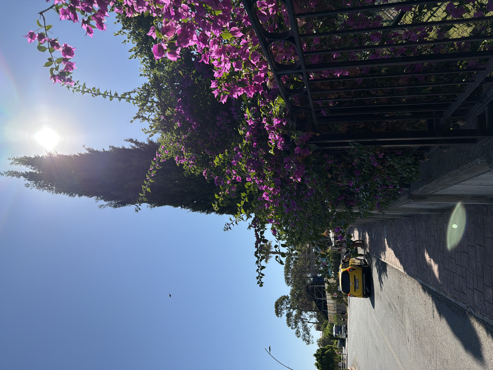 In the city of Kemer, Turkey, on a bright, sunny day, a street scene unfolds with a clear blue sky and the sun positioned high, casting a bright glare. A tall, dark green evergreen tree dominates the upper right portion of the frame, its slender form reaching towards the sky. In the foreground, a dense bush or tree is covered in vibrant, fuchsia-colored bougainvillea flowers, which spill over a black metal fence.
A paved sidewalk runs along the right side of the street, bordered by a low concrete wall. To the left of the sidewalk is a road with asphalt pavement. A yellow taxi is parked on the right side of the road, its rear facing the camera. Two individuals, a woman and a child, are visible near the taxi, appearing to interact with someone inside. Further down the street, a white bus is parked on the left side. In the distance, several other trees and some buildings are visible. A single dark object, possibly a bird or an insect, is captured in flight against the expansive blue sky. The overall impression is one of a typical Mediterranean street scene bathed in warm sunlight.