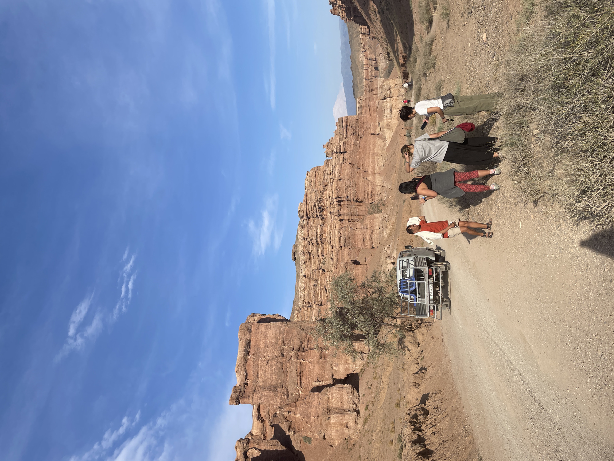 In Tamerlik, Kazakhstan, a group of four individuals stand on a dirt road in a canyon. Two of the individuals are holding phones, one appears to be taking a picture. A silver utility truck with a rack on the back is parked on the left side of the road. The canyon walls are steep and composed of layered, reddish-brown rock. Sparse, dry vegetation grows on the canyon floor and along the roadside. The sky is blue with some wispy clouds. In the distance, more canyon features are visible, and a snow-capped mountain can be seen on the horizon.