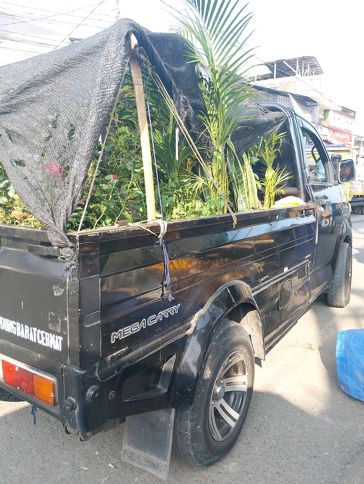 A black, four-door pickup truck, identified by the "MEGA CARRY" logo on its side, is parked on an asphalt road in Lembang, Indonesia. The truck bed is covered with a black mesh tarp supported by wooden poles, creating a shaded area. Inside the truck bed, various plants are visible, including tall, leafy palm-like plants and smaller green plants with pink flowers. The truck's rear features a red and orange taillight assembly. The vehicle is positioned on the right side of the road, with buildings and utility lines visible in the background. A blue tarp lies on the ground to the right of the truck. The overall scene suggests the transport of plants.