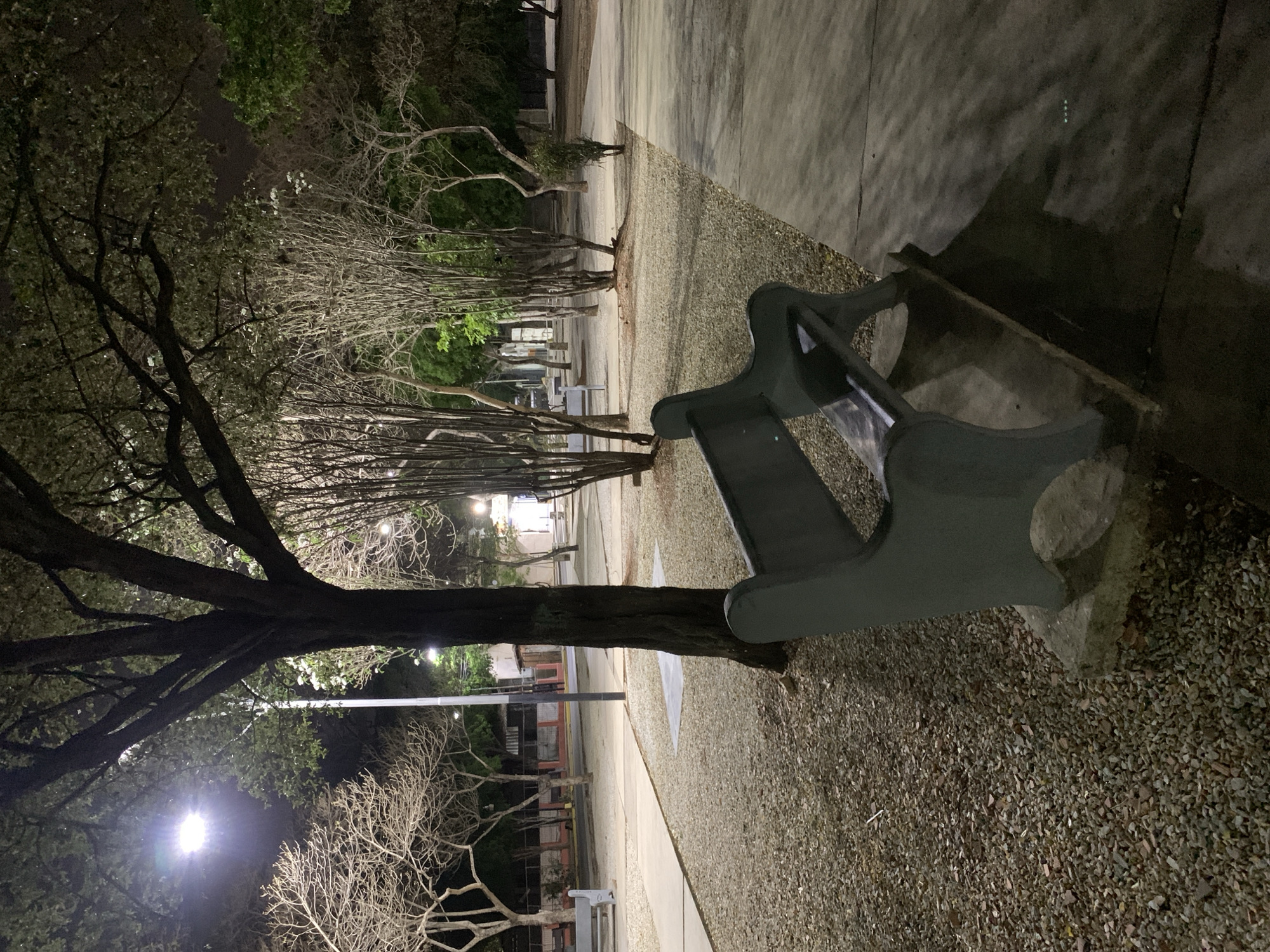 The image depicts a quiet, unpopulated outdoor public space in Santa Ana, Venezuela, captured at night. The scene is viewed from an elevated perspective looking down a pathway flanked by trees.
In the foreground, a dark-colored park bench with a simple, curved design is situated on the right side of the frame, angled towards the viewer. To its left and extending through the midground is a gravel-covered area, which borders a smooth concrete pathway running parallel to it on the right.
A large tree with a dark, stout trunk and substantial leafy branches dominates the left foreground. Further along the gravel area, a row of numerous other trees extends into the background, many appearing bare or having sparse foliage, their silhouettes stark against the dark night sky. A bright streetlamp positioned mid-ground on the left casts a strong glow, illuminating parts of the tree canopy and creating prominent shadows on the ground. Several smaller, fainter lights are visible further in the background, nestled among the distant trees.
The concrete pathway stretches into the distance, leading to dimly lit buildings or structures in the background, suggesting an urban or semi-urban setting. The interplay of artificial light and deep shadows emphasizes the textures of the gravel and concrete. The overall atmosphere is one of tranquility and solitude due to the absence of people and activity. No visible text is present in the image.