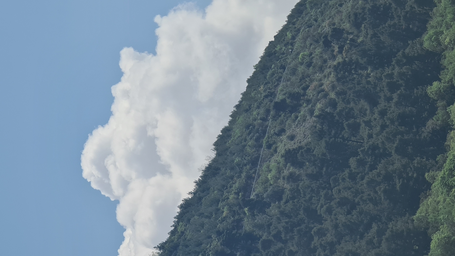 The image showcases a majestic natural landscape featuring a large, steep mountain slope densely covered in dark green forest. The mountain occupies the right and upper portions of the frame, displaying a rich tapestry of trees and foliage. Several thin, light-colored lines, likely power lines or elements of a cable car system, are visible traversing the wooded terrain diagonally across the slope.
To the left and lower part of the image, a clear, light blue sky provides a serene backdrop. A prominent formation of voluminous white cumulus clouds billows along the ridge of the mountain, creating a striking visual contrast between the verdant slopes and the bright, airy sky. The clouds appear well-defined and brightly lit, suggesting fair weather conditions.
The scene captures a static moment of natural beauty during the daytime, indicated by the bright sky and well-illuminated clouds. There are no people or specific activities taking place, emphasizing the tranquility of the landscape. This mountainous setting is located in Budva, Montenegro. No visible text is present in the image.