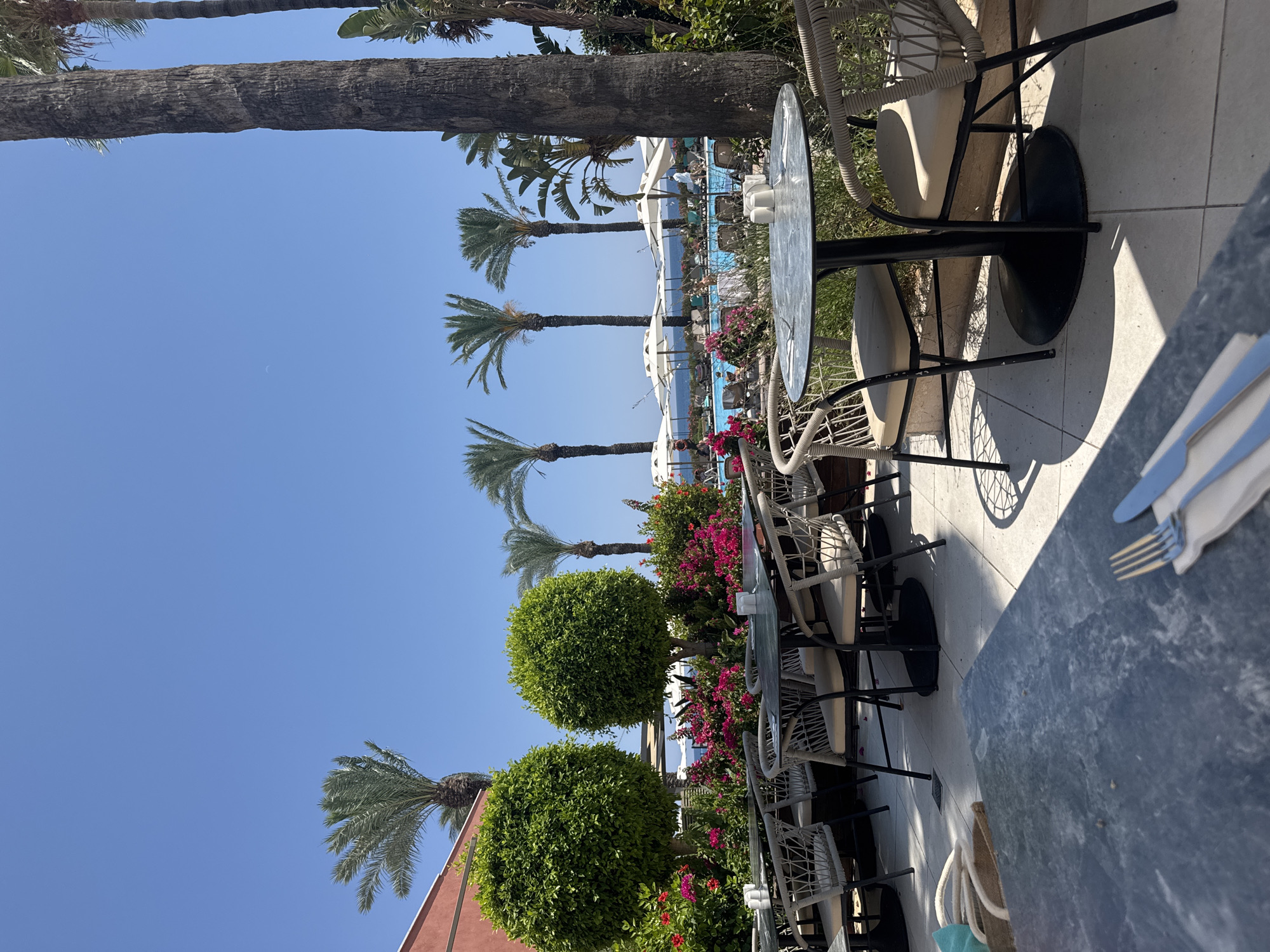 The image depicts an outdoor dining area with a view of a swimming pool and the sea, set against a clear blue sky. In the foreground, there are several tables with chairs, some set with cutlery. One table in the center is round with a dark tabletop and black base, surrounded by four chairs with woven backs and beige cushions. Another table to the left is also dark and rectangular, with chairs visible. The ground is paved with light-colored square tiles.
Behind the dining area, there are meticulously trimmed green bushes, some spherical and others in hedges, interspersed with vibrant pink and red flowers. Several tall palm trees are scattered across the background, with their fronds reaching towards the sky. A red building facade is visible on the far left.
Further in the background, a large swimming pool is prominent, with lounge chairs and umbrellas lining its edges. Several people are visible relaxing by or in the pool. Beyond the pool, the calm blue sea stretches to the horizon, meeting the sky. The overall ambiance suggests a resort or hotel setting in a sunny, warm climate. The scene is consistent with locations found in Kemer, Turkey, a popular tourist destination known for its coastal resorts, palm trees, and Mediterranean views.