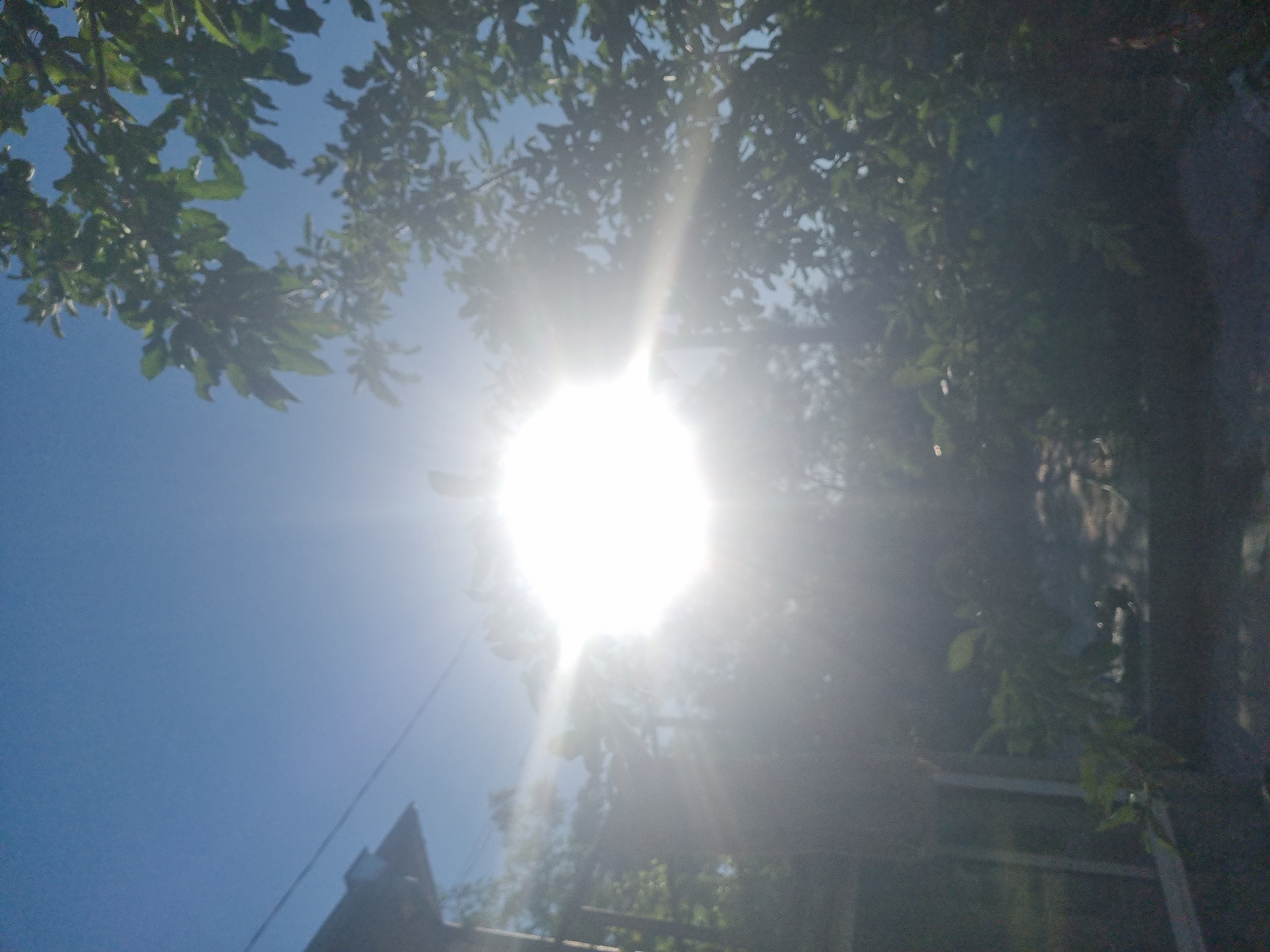 A bright sun is visible in the upper center of the image, causing lens flare that obscures much of the scene. To the left, the corner of a dark-colored building with a slanted roof is visible, along with a thin, dark wire running diagonally across the sky. The right side of the image is filled with the dense green foliage of tree branches. In the foreground and lower half of the image, the scene is heavily shadowed and blurry, with indistinct shapes of plants and possibly a pathway or ground cover. The overall impression is of an outdoor setting, likely a yard or garden, with the sun high in a clear blue sky. The location of Dabravka, Bulgaria is not discernible from the visual information in the image.