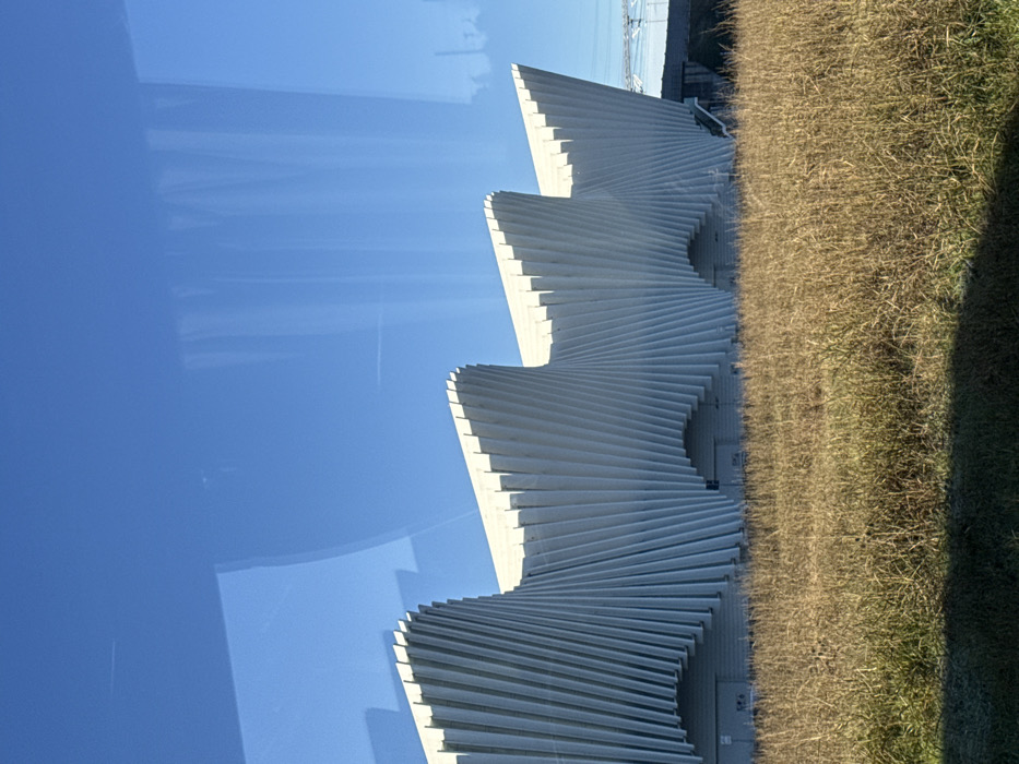 The image displays a portion of the Reggio Emilia AV Mediopadana high-speed railway station in Reggio nell'Emilia, Italy. The prominent subject is the station's distinct architectural facade, characterized by multiple undulating, wave-like structures composed of white, vertically oriented, twisting fin-like elements. These structures exhibit a repetitive pattern of peaks and valleys, extending horizontally across the frame. At the base of the white facade, several recessed, dark rectangular openings are visible, consistent with entryways or service access points. The foreground consists of a dense field of dry, golden-brown and light-yellow grass, occupying approximately the lower third of the image. The upper two-thirds of the image depict a clear, bright blue sky, with visible reflections and minor distortions suggesting the photograph was taken through a window, possibly from a vehicle. In the far right background, a faint structural element, consistent with a bridge or industrial infrastructure, is discernible. No individuals or active events are present in the scene.