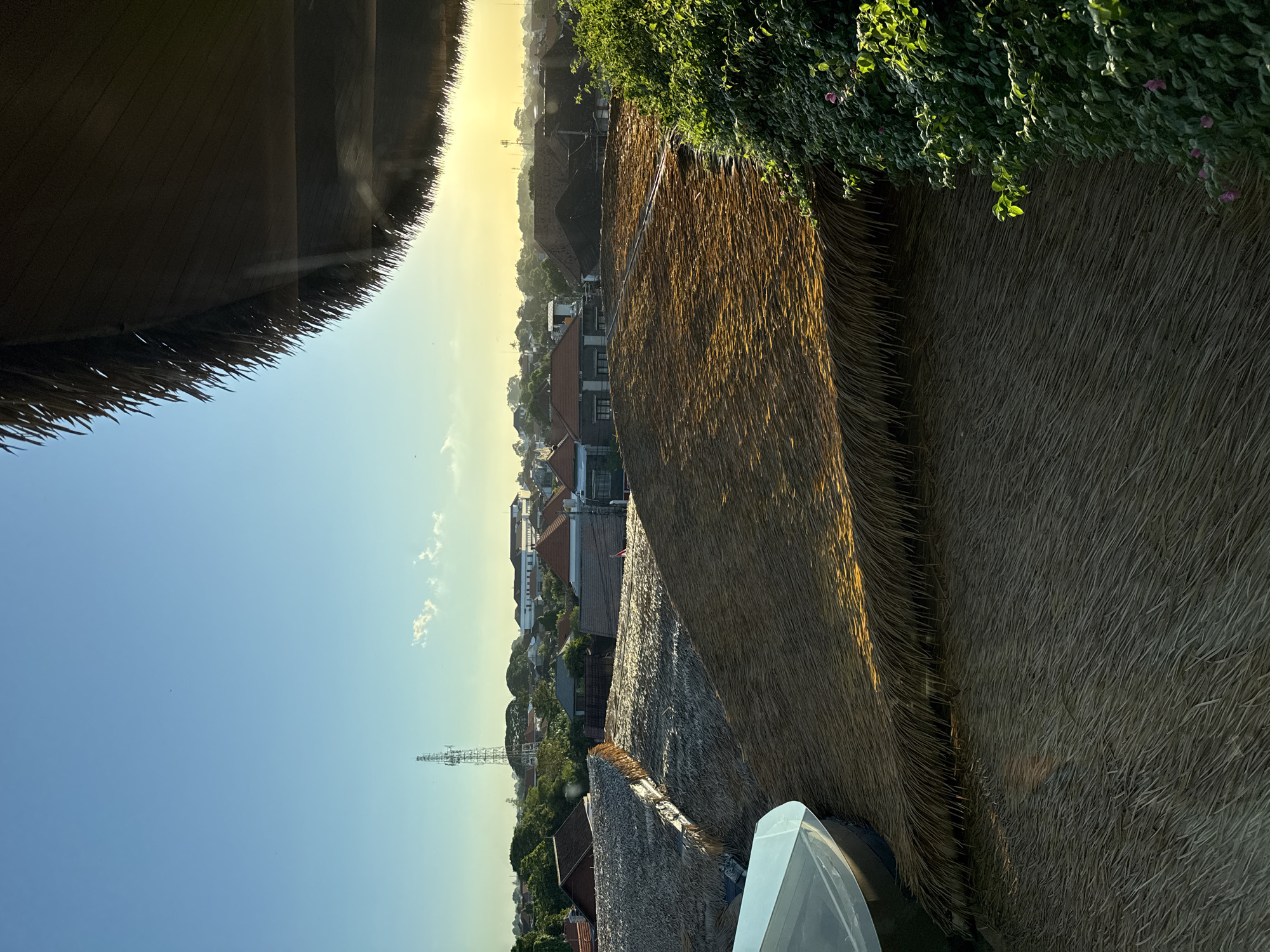 The image, oriented as a landscape view, captures a tranquil scene overlooking a town, likely in Denpasar, Indonesia, during either sunrise or sunset. In the foreground, large, textured thatched roofs, made of dried straw or leaves, dominate the lower and right portions of the frame. Lush green foliage, possibly vines or bushes adorned with small purple flowers, cascades over one of these roofs on the right, catching the warm, golden sunlight. A partial view of a light-colored object, possibly a covered boat or another structure, is visible in the lower right corner.
Beyond the immediate roofs, the midground presents a panoramic view of a residential area. Numerous buildings with distinctive reddish-brown tiled roofs are nestled amidst abundant green trees and vegetation. A tall, lattice-style telecommunication tower stands prominently on the left side of the midground, contrasting with the more traditional architecture. The background features a clear blue sky, which transitions into a brilliant yellowish-orange glow along the horizon, strongly indicating the presence of a low sun—either rising or setting. A few small, wispy white clouds are scattered across the sky. The scene is devoid of people and visible text, emphasizing the peaceful and natural beauty of the setting under the soft, warm light of dawn or dusk.