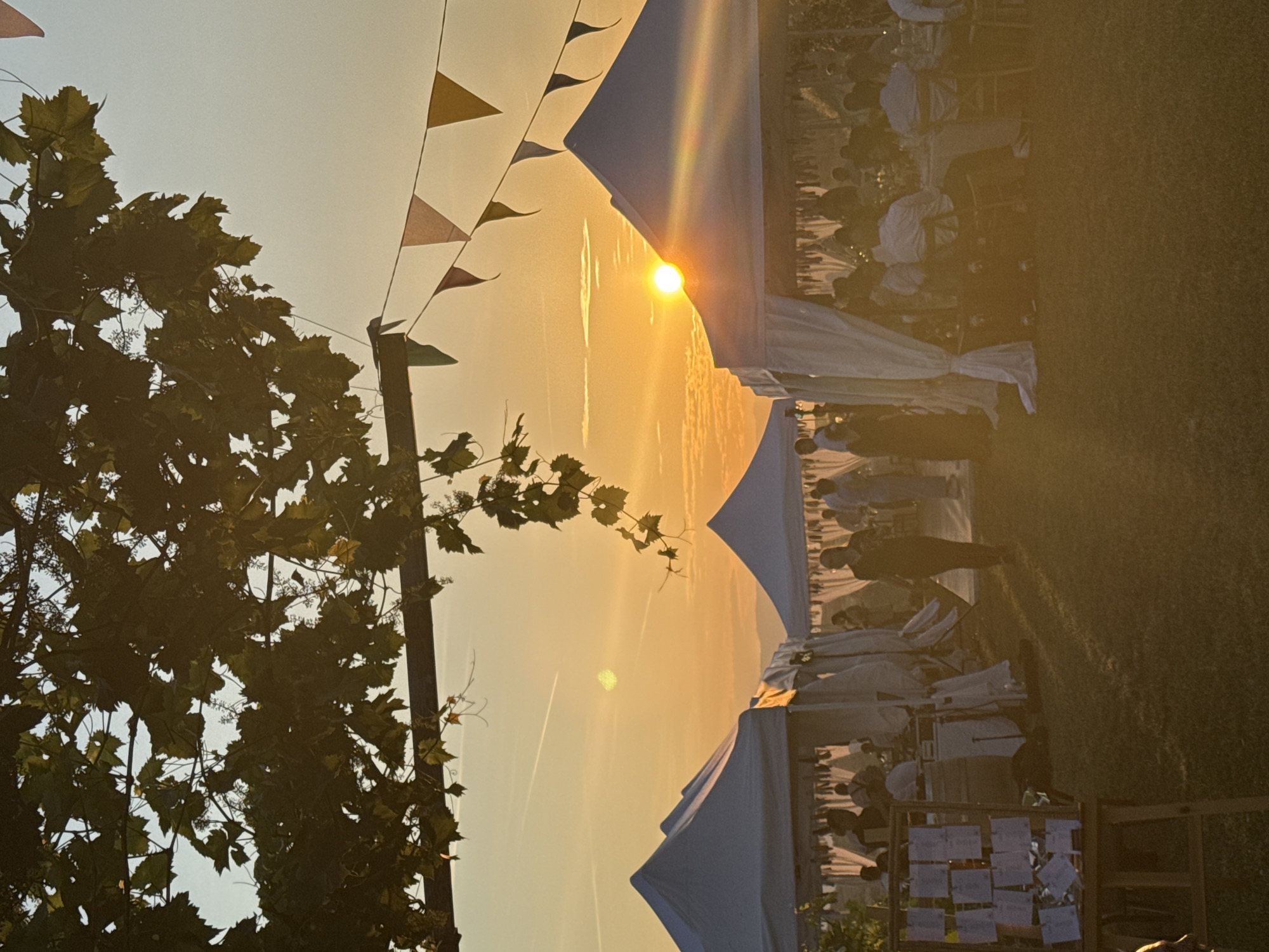 This image depicts an outdoor social event occurring at sunset in Harsovo, Bulgaria. The upper third of the frame is occupied by dark green grapevines and a horizontal wooden trellis, silhouetted against a sky that transitions from pale blue at the top left to a vibrant orange-yellow at the horizon. Several white airplane contrails are visible against the bright sky. A string of triangular bunting, displaying muted green, brown, and yellow colors, stretches across the upper right quadrant.
Multiple white, peaked tents are set up on a grassy field, serving as primary structures for the event. The sun, a brilliant orb, is positioned behind the rightmost tent, generating a prominent lens flare and illuminating the scene with a golden, low-angle light. Distant hills or mountains are faintly visible on the horizon line.
Within and around the tents, numerous individuals are present, predominantly seated at tables, indicating a dining or communal gathering. Their forms are largely silhouetted by the intense backlighting. One person in dark clothing is visible walking on the grassy area in the middle left of the frame, between the tents. In the far left foreground, a wooden easel holds a seating chart consisting of multiple white papers. The ground throughout the visible area is covered in short green grass, strongly illuminated by the warm light of the setting sun.