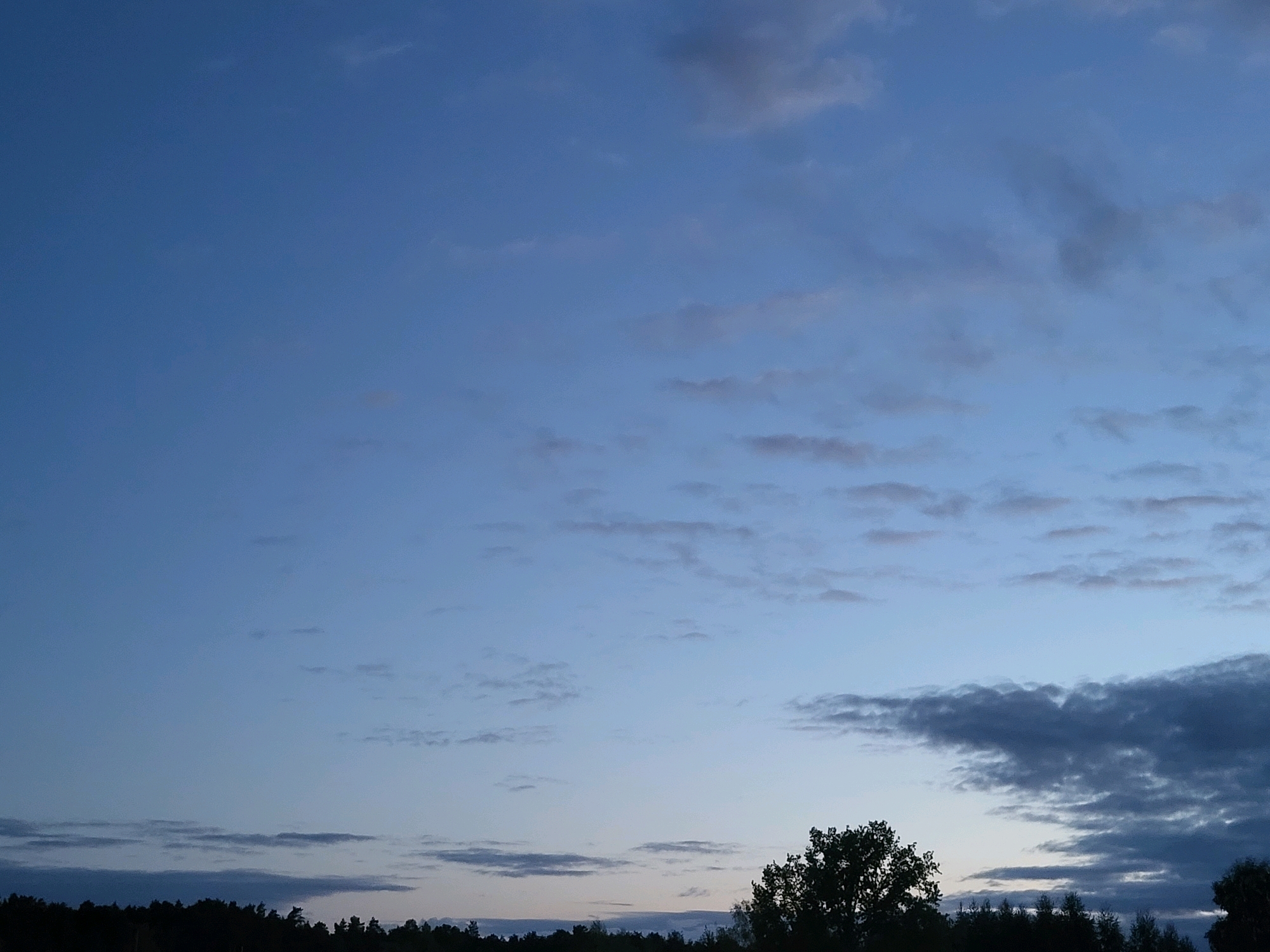 A low-angle, outdoor, full shot captures a twilight sky over a forested horizon in Ozolnieki, Latvia. The sky is a gradient of deep blue near the top to a lighter, almost pale blue near the horizon, with scattered, wispy clouds of varying shades of grey and white. The horizon is lined with a dense, dark silhouette of trees. In the lower right corner, a portion of a large, leafy tree is visible against the sky. No people or specific structures are discernible within the frame.