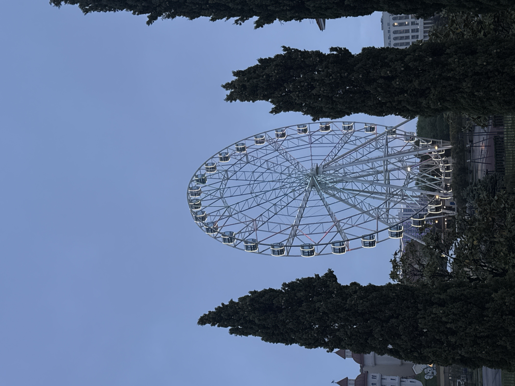 The image depicts a Ferris wheel in Sirius, Russia. The Ferris wheel is white, with numerous gondolas illuminated from within. Tall, dark green trees frame the Ferris wheel on both sides. The sky is a muted blue, suggesting twilight. In the background, there is a building, its architecture hinting at urban development. The lower portion of a building is visible, suggesting a building with turrets or decorative elements.