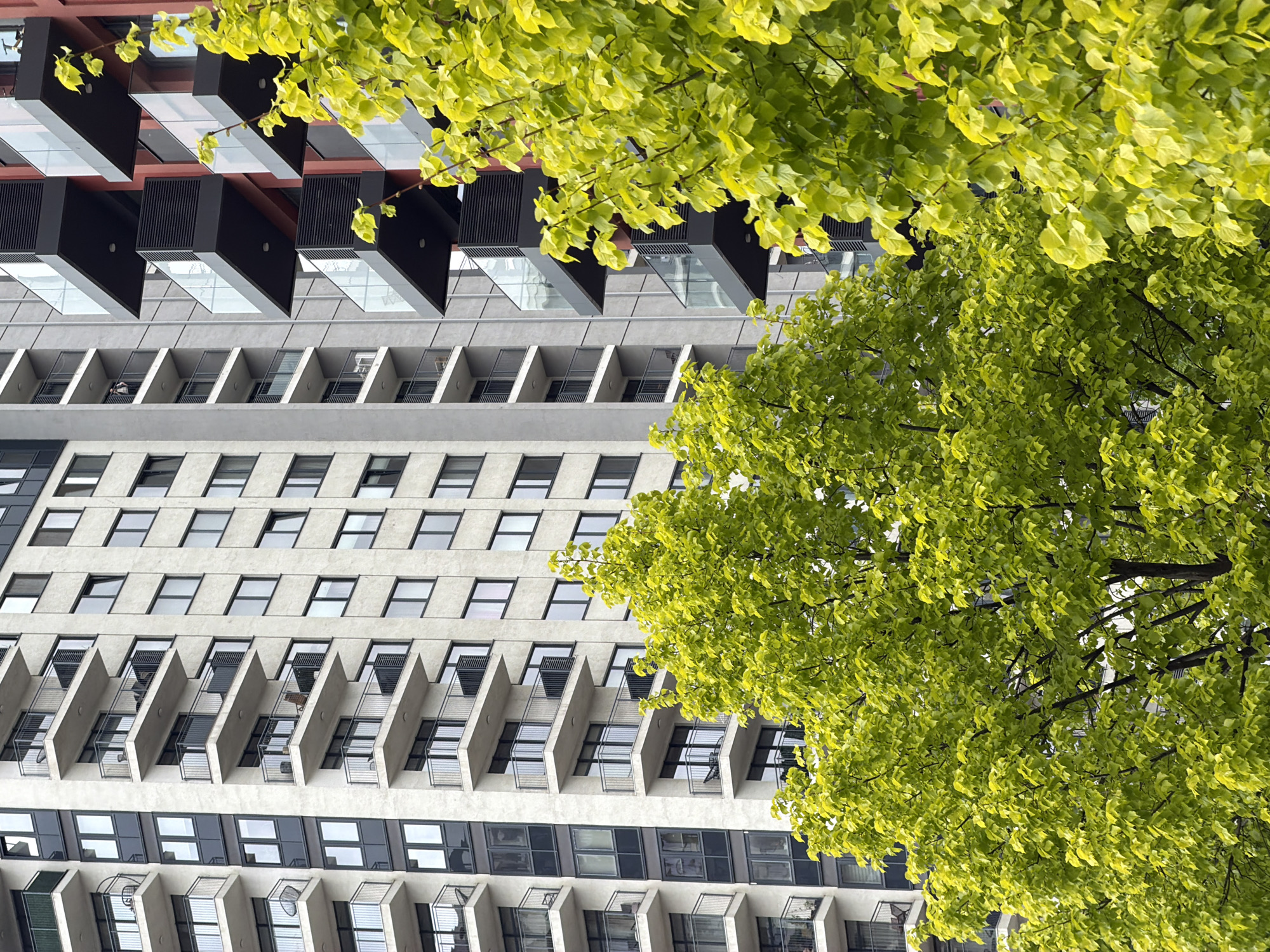 The image captures a modern architectural building juxtaposed with the vibrant green foliage of a large tree in Belgrade, Serbia. The building, oriented vertically in an implied upright position, features a multi-layered design.
The upper section of the building showcases a striking pattern of dark, box-like structures projecting outwards, each incorporating clear glass panels. Below these, the building transitions to a lighter, concrete facade with multiple rows of recessed balconies or windows, distinctly separated by sharp, angled concrete dividers. Further down, rows of standard rectangular windows are visible, interspersed with another section featuring similar angled balcony structures. The architecture appears contemporary, possibly with brutalist influences, emphasizing geometric shapes and concrete materials.
Dominating the right side and extending across the upper portion of the frame is the lush, bright green canopy of a tree. The leaves appear fresh and vibrant, indicative of spring or early summer growth, and partially obscure parts of the building, creating a natural frame.
The lighting suggests a bright day, enhancing the vivid green of the leaves and illuminating the building's textures without casting harsh shadows. No people, specific activities, or discernible text are visible in the scene. The image presents a blend of urban infrastructure and natural beauty.