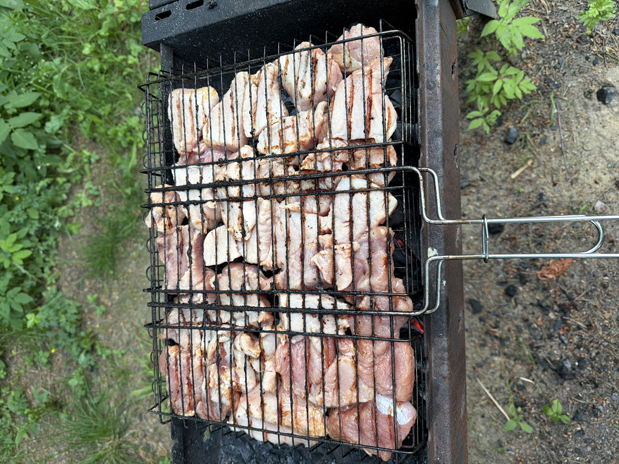 The image shows a close-up, overhead view of a grill basket filled with raw meat, likely shashlik or skewers. The meat is thinly sliced and arranged in rows across the black metal grill. Some pieces show marbling and a reddish-pink hue, indicating they are uncooked. The grill is placed over hot coals, which are visible as glowing red embers beneath the meat. The grill itself appears to be made of dark metal and shows signs of rust and use. The background consists of a grassy, outdoor environment with green foliage and dark soil, suggestive of a park or backyard setting. There are no people or specific landmarks visible in the image, making it impossible to determine a specific location within Snegiryovka, Russia.