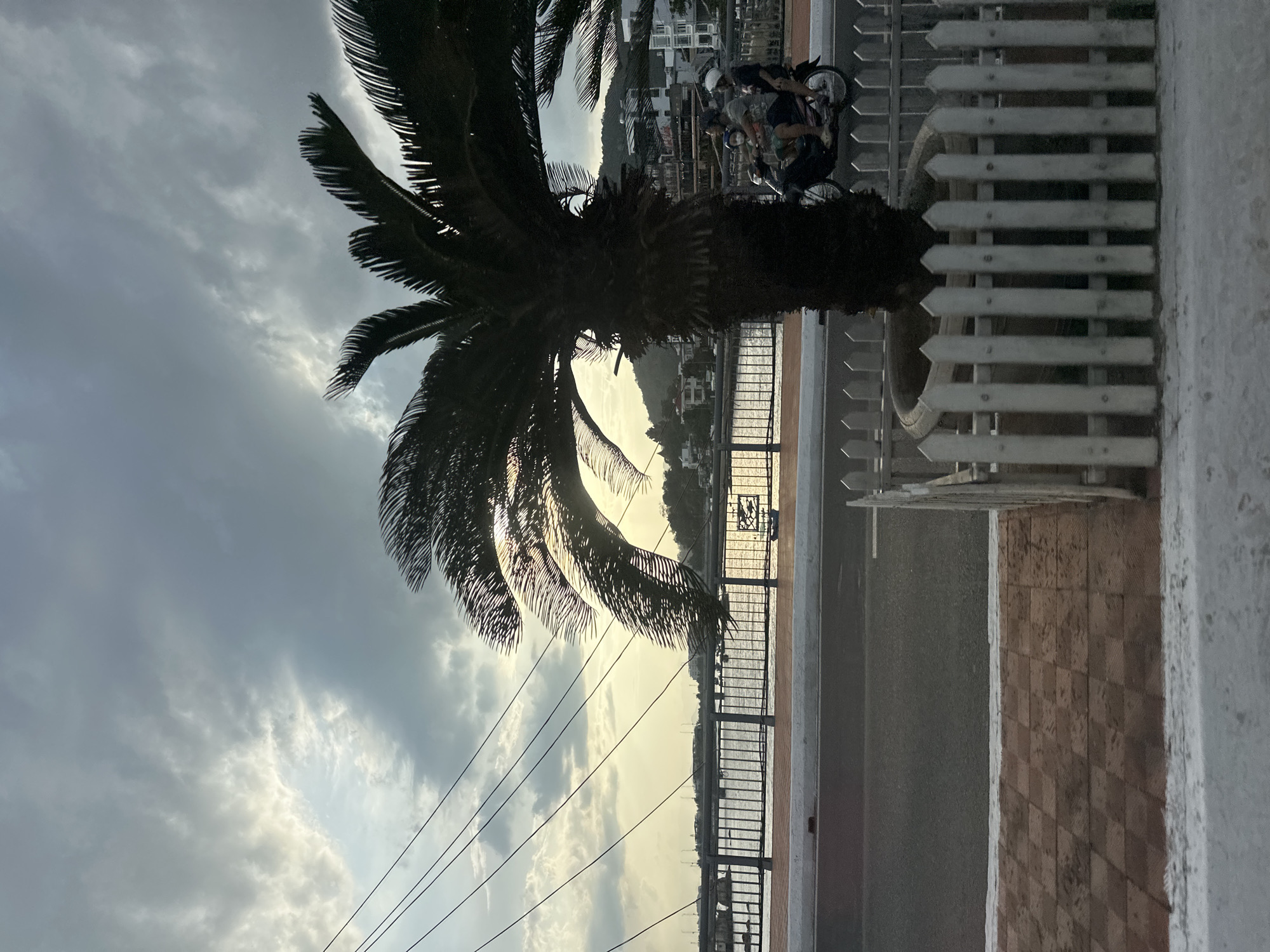 This image captures an outdoor scene at what appears to be late afternoon or early evening in Bac Nha Trang Ward, Vietnam. A large palm tree, silhouetted in dark tones, dominates the left-center foreground. Its fronds are spread against a partly cloudy sky, where patches of soft, yellowish light indicate the low sun.
Below the palm tree, a body of water reflects the sky's light, suggesting a river or a calm sea. A metal railing separates the water from a paved area or road. On this paved surface, two individuals wearing helmets are riding what looks like a tandem bicycle or scooter, moving past the palm tree and railing. Further to the right, a white picket fence stands alongside a wall or surface with a distinct checkered tile pattern. In the background, across the water, distant hills or mountains are visible, dotted with residential buildings. Several power lines stretch horizontally across the middle ground of the image. The overall atmosphere is tranquil, with the low light creating a serene mood. No visible text is present in the image.