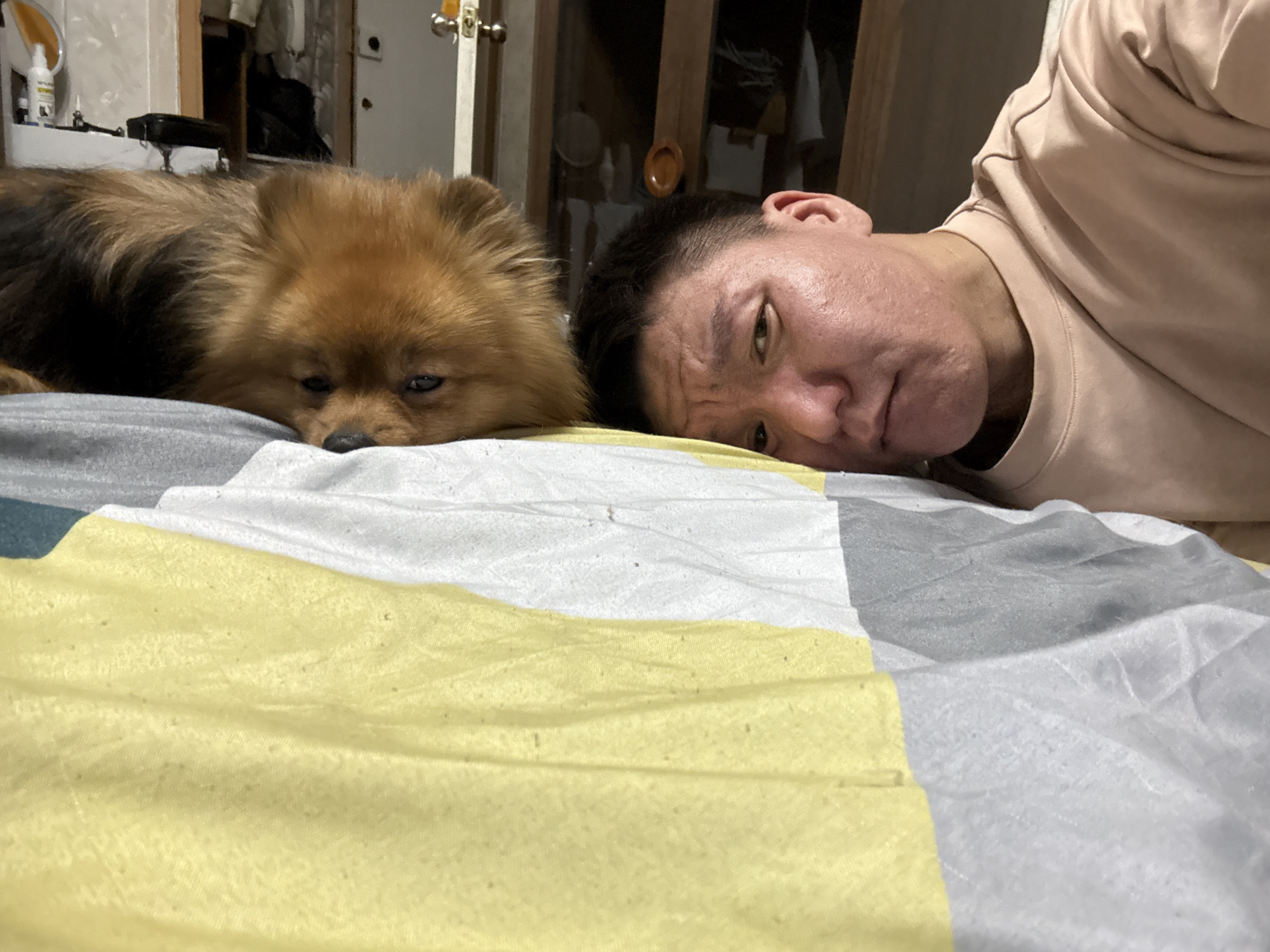 In a domestic indoor setting, likely a bedroom, a Pomeranian dog and a person are lying down side-by-side on a bed with a patterned duvet. The dog, with its fluffy brown and black fur, rests its head on the duvet, appearing relaxed or tired. The person, whose face is visible, is lying on their side with their head also on the duvet, looking towards the camera with a neutral or contemplative expression. The background shows a slightly cluttered room with furniture and shelves, suggesting a lived-in space. The overall scene captures a moment of quiet shared between a pet and its owner. The image does not contain information that would allow for a specific location within Khimki, Russia.