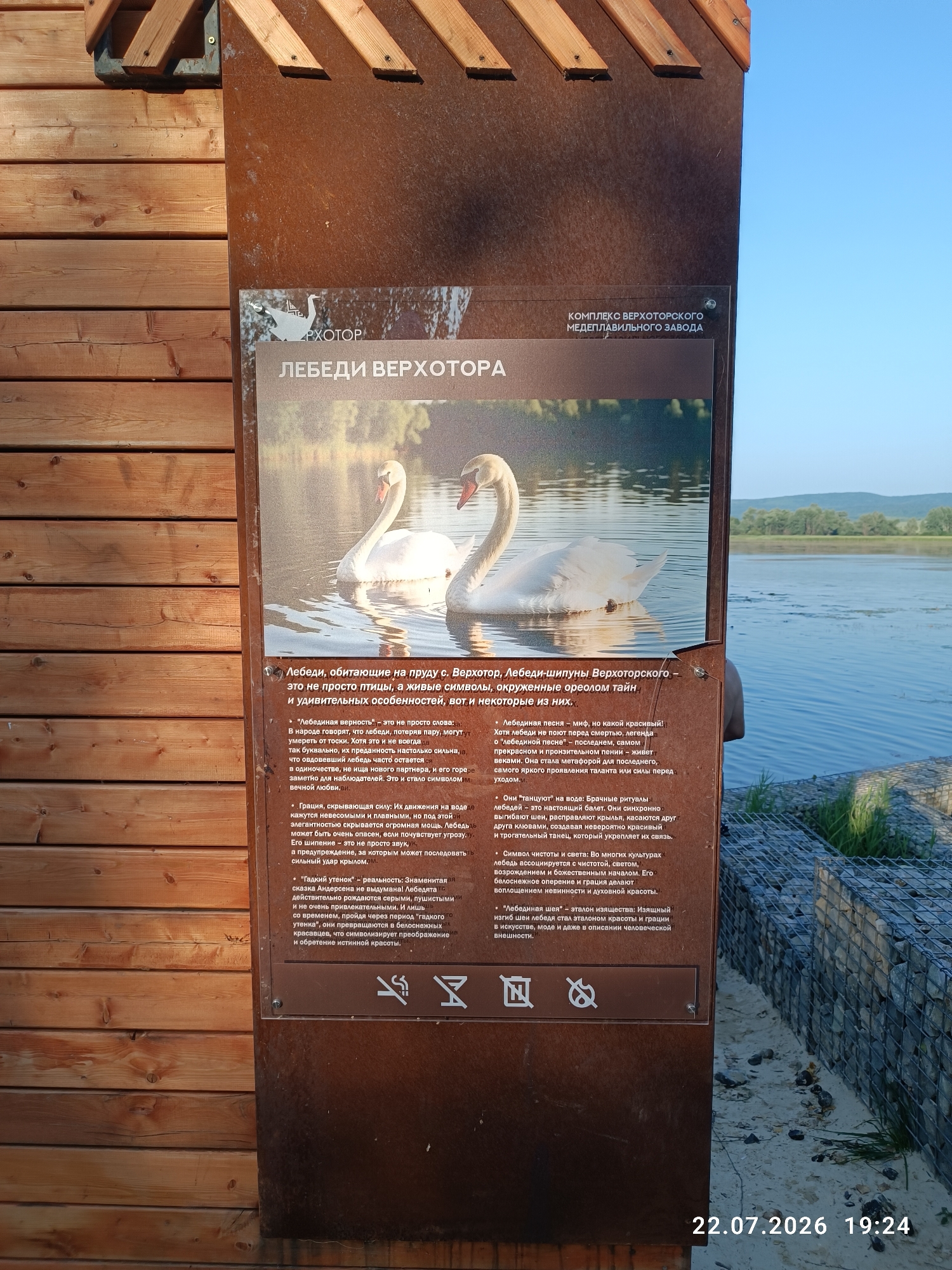 The image shows a sign with information about swans in the city of Verkhotorye, Russia. The sign is made of metal and has a picture of two swans swimming in the water. The text on the sign is in Russian and describes the swans' appearance, behavior, and symbolism. The sign is located outdoors, possibly in a park or nature reserve, with a body of water and trees in the background. There is a wooden structure to the left of the sign and a gabion wall to the right. The sky is blue and clear. A date and time stamp "22.07.2026 19:24" is visible in the lower right corner.