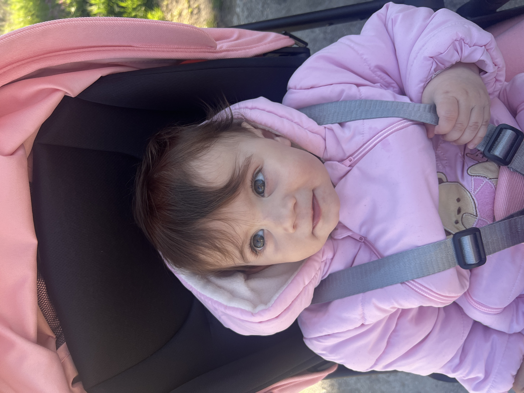 A baby wearing a pink puffy jacket and a grey harness is lying in a stroller. The stroller is pink and black. The baby has brown hair and blue eyes. The location is not identifiable from the image.