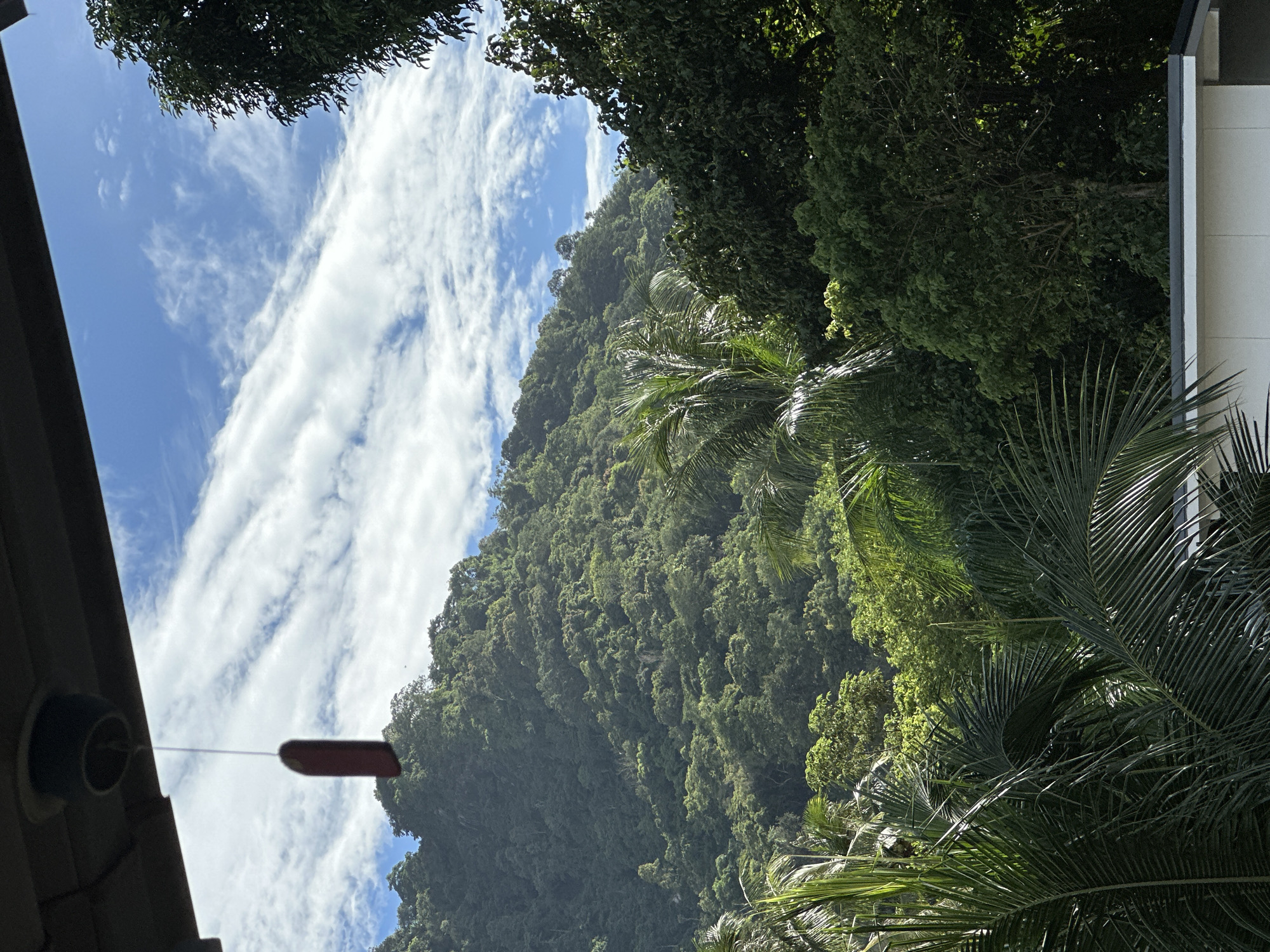 The image captures a lush, tropical landscape with a prominent, densely forested mountain in the background. The mountain is covered in a variety of green trees, appearing to be a rainforest. In the foreground, the fronds of palm trees are visible, suggesting a tropical climate. A white structure, possibly a building, is partially visible at the bottom right. The sky is a bright blue with scattered white clouds. Hanging from an overhang at the top of the image is a dark object with a red pendant. The scene appears to be taken from a sheltered viewpoint, possibly a balcony or porch, overlooking the natural scenery of Karon, Thailand.