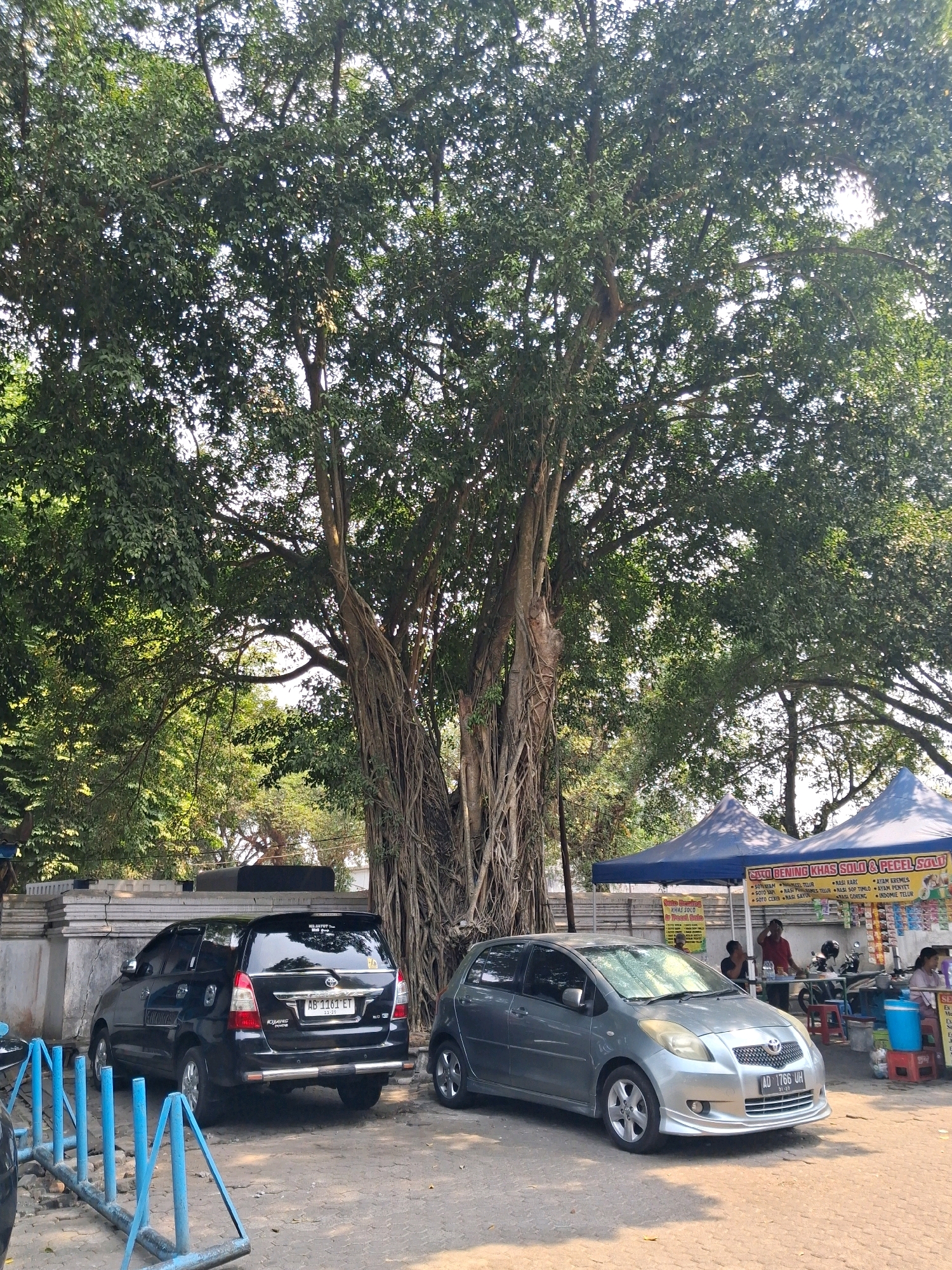 This is a ground-level, outdoor, eye-level shot of a street scene in Surakarta, Indonesia. In the foreground, two parked cars are visible: a black Toyota Innova on the left and a silver Toyota Yaris on the right. Behind the cars, a large, ancient banyan tree dominates the scene with its sprawling branches and aerial roots. To the right of the banyan tree, two blue market tents are set up. One tent displays text in Indonesian, indicating it is a food stall selling local dishes like "Nasi Goreng" and "Pecel Solo." Several people are visible around the food stalls, including a person wearing a red shirt who appears to be interacting with someone behind the counter, and a woman in pink sitting at a table. A blue bucket is visible on a red plastic stool. The environment suggests a bustling local market or roadside eatery under the shade of the large tree. The ground is paved with a mix of asphalt and dirt.