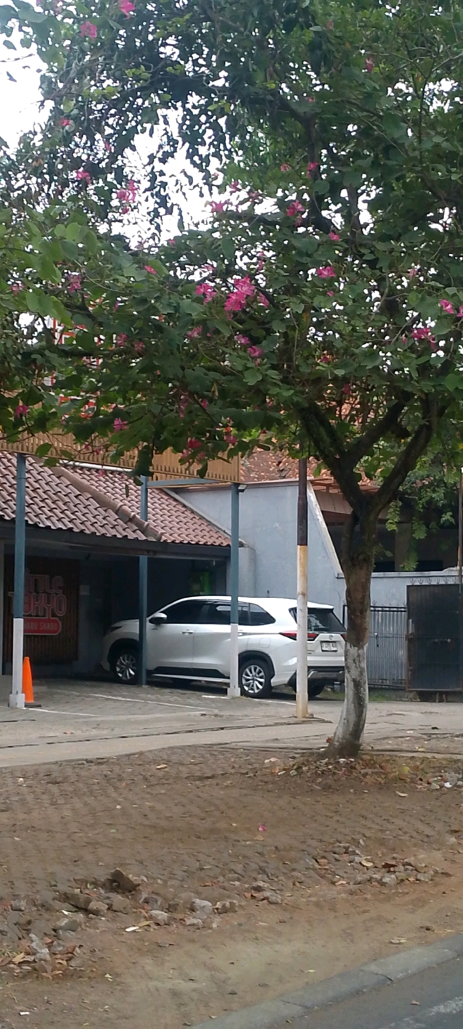 This is a medium-shot photograph of a white Toyota Fortuner SUV parked under an awning in front of a building with a tiled roof. The SUV is positioned towards the left side of the frame, with its front facing slightly towards the viewer. The building appears to be a commercial establishment, as indicated by a sign with text that is partially visible, reading "ITTLE TOKYO" in large red letters. The awning is supported by blue pillars.
A tree with green leaves and pink flowers is prominent in the foreground, its branches extending across the top of the image and partially obscuring the sky. The tree trunk, painted with white and brown stripes, is on the right side of the frame. The ground in front of the building is paved with rough, uneven material, likely concrete or asphalt, with some debris scattered on it.
In the background, to the right of the SUV, a metal gate is visible, leading to another area. The overall environment suggests an outdoor commercial or residential setting within a city. The image lacks any discernible people or specific actions occurring. The presence of the SUV and the building suggests a scene in an urban or suburban area. Given the context of the provided crops, this scene is likely located in Bandung City, Indonesia, a common location for such commercial establishments and vehicle types.
