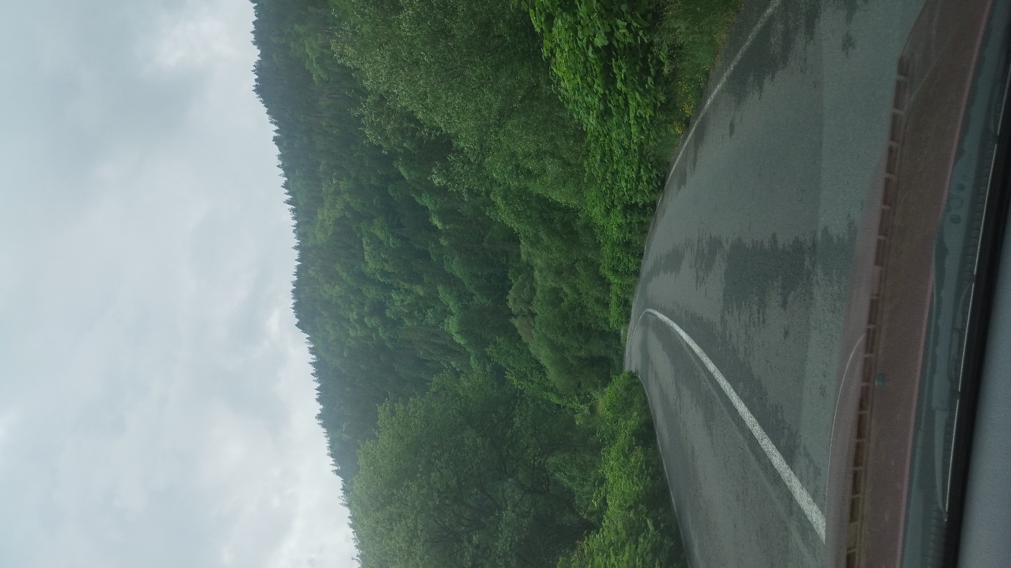The image depicts a view from inside a vehicle, likely a car, driving on a road. The road surface appears wet. To the right, a portion of the car's dashboard and frame are visible. The road curves to the left. On the left side of the road, there is a dense, green forested area. The sky is overcast with grey clouds. Without specific location information in the image, pinpointing the precise location as Kostylivka, Ukraine is not possible.