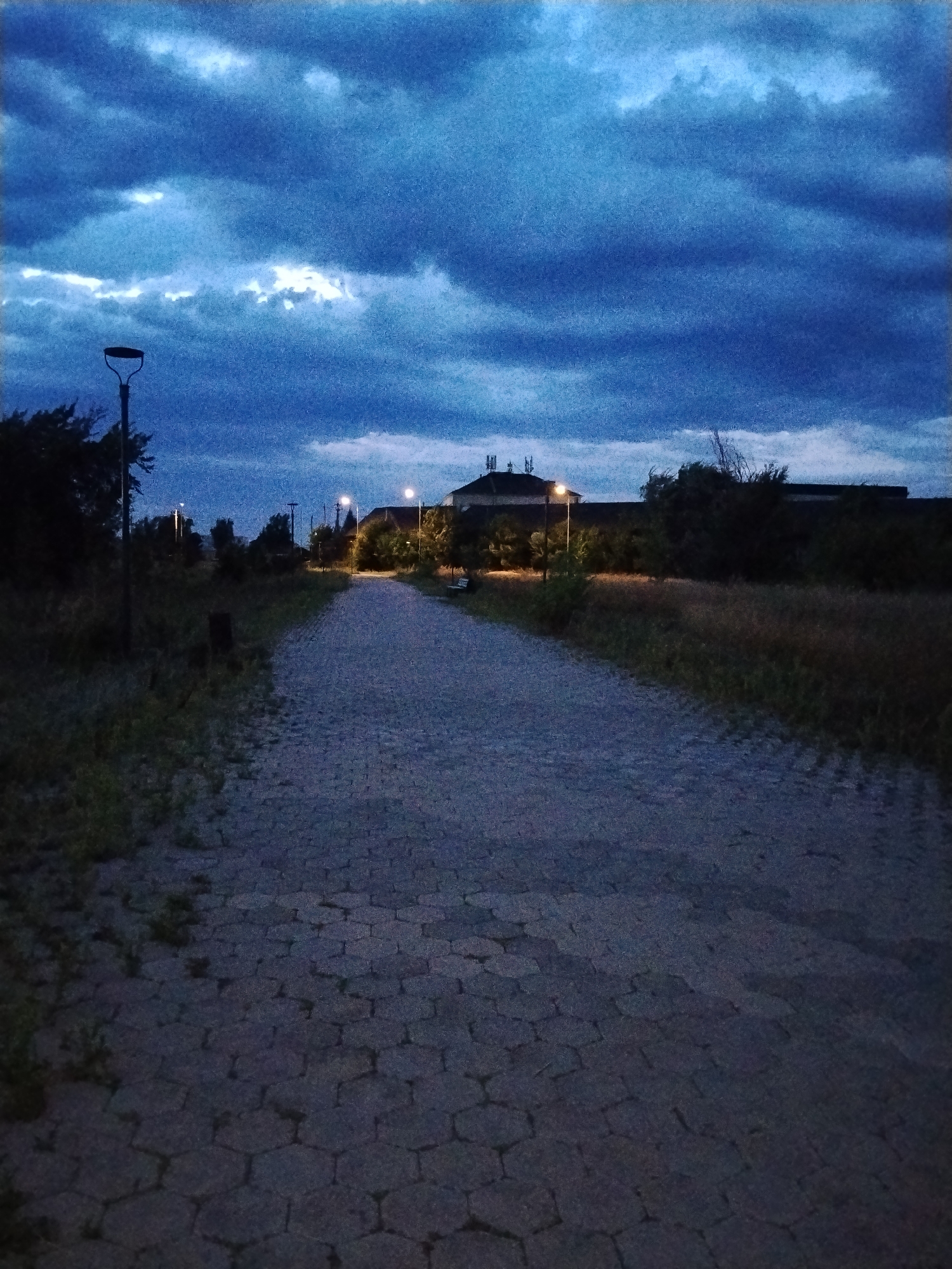 The image depicts a paved pathway leading towards a building complex with a dark, cloudy sky overhead. The pathway is constructed from hexagonal paving stones and is illuminated by streetlights, suggesting it is dusk or nighttime. Vegetation, including trees and tall grass, borders the pathway on both sides. In the distance, several streetlights and buildings are visible, with some lights on. The overall scene appears to be a park or public area within a city. The specific location is not discernible from the image itself, and no inhabitants or specific activities are evident.