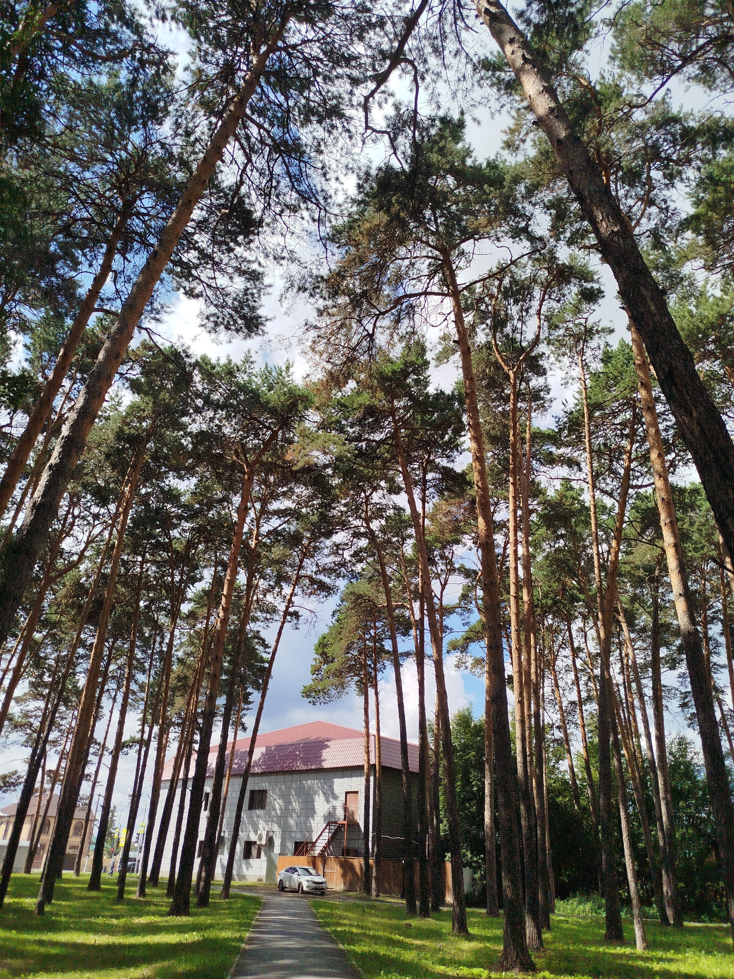 The image depicts a street scene in the city of Zavodoukovsk, Russia, characterized by a dense stand of tall pine trees lining a paved pathway. The trees dominate the foreground and midground, their trunks vertical and angled, creating a canopy that allows dappled sunlight to filter through to the ground. A white car is parked on the right side of the pathway, near a light-colored building with a reddish-brown roof. The building appears to be a residential or commercial structure, with windows and an external staircase. Beyond the immediate building, other structures and greenery are visible, suggesting a suburban or mixed-use area. The sky above is partly cloudy. The overall impression is one of a well-treed street with a building and a car.