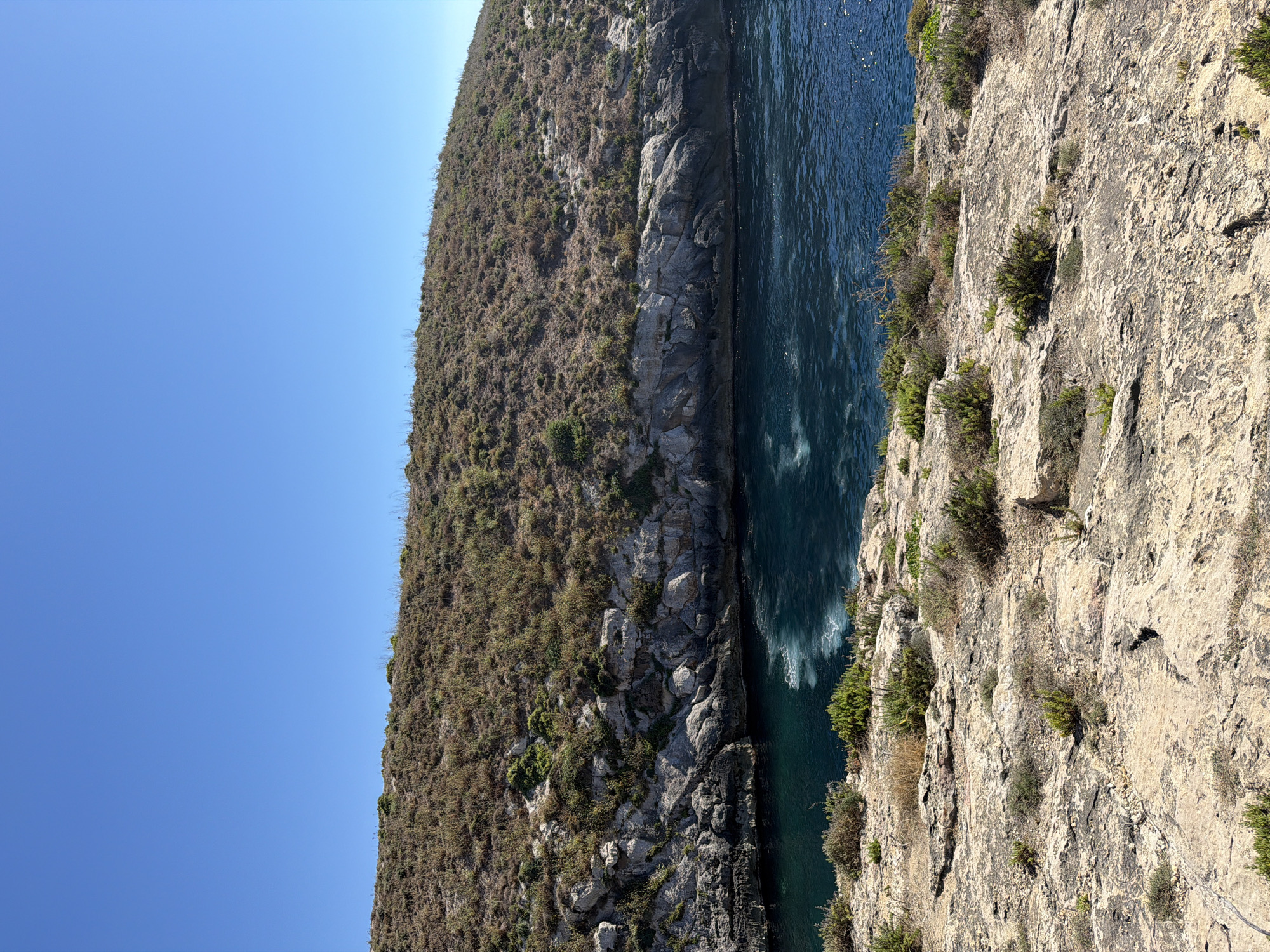 The image shows a natural coastal landscape in Xlendi, Malta, under a clear blue sky. The foreground consists of a rugged, rocky terrain with sparse vegetation, predominantly dry grasses and small, hardy shrubs. This rocky shelf slopes downwards towards the sea.
The middle ground is dominated by the deep blue, slightly choppy water of the Mediterranean Sea. The water appears clear and reflects the sunlight, creating shimmering highlights. Along the edge of the water, where it meets the land, is a dramatic cliff face. This cliff is characterized by layers of grey and white rock, showing signs of erosion and weathering. Patches of green vegetation, including shrubs and small trees, cling to the rocky slopes of the cliff, adding contrast to the stone.
The background features a hill covered in dry, brown vegetation, suggestive of a Mediterranean climate. The slope of the hill is gentle, leading up to the horizon. The overall scene is one of natural beauty and tranquility, typical of the coastal areas of Malta. No people or man-made structures are visible in the image.