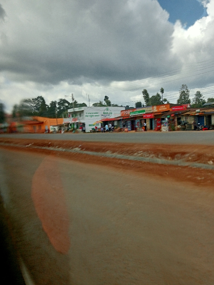 The image captures a street scene in Karatina, Kenya, under a heavily overcast sky with prominent dark clouds. In the foreground, a paved road stretches diagonally across the frame, showing a reddish-brown dirt or gravel shoulder alongside it. A blurred reddish reflection or stain is visible on the road surface in the bottom left.
Along the right side of the road, a row of single-story commercial buildings lines the street. These structures vary in color and style, indicating different small businesses or shops. Several people are visible in front of these shops, standing or moving, suggesting daily activity.
Notable text includes a large banner on a white building that reads, "It starts with the right seed" and "seen.co", with "SEED HE" and "SEED P" also partially visible below, hinting at an agricultural or seed supply business. Next to this, an orange-fronted shop clearly displays the word "PORK," indicating a butchery or meat shop. Other signs are present on the storefronts but are illegible.
Behind the buildings and in the distant background, lush green trees are visible, contrasting with the urban structures. The heavy cloud cover suggests a cool or potentially rainy day. The scene depicts a bustling, commercial roadside environment typical of a market town in East Africa during daylight hours.