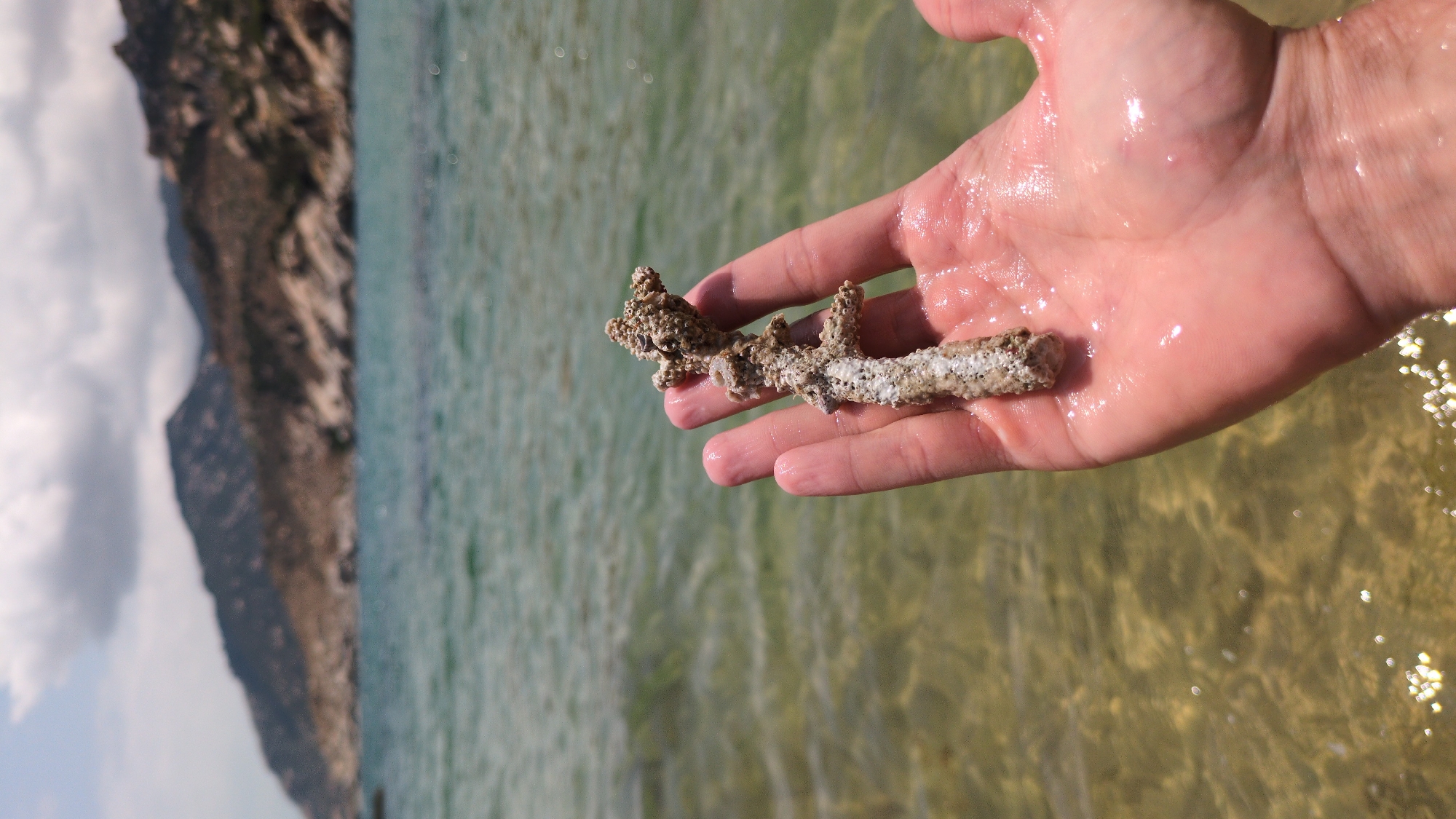A person holds a piece of porous, coral-like material with white deposits in their wet hand, likely near the ocean. The background shows a body of water with a mountainous landscape on the left. The precise location within Phuoc Dinh, Vietnam is not discernable without additional information.