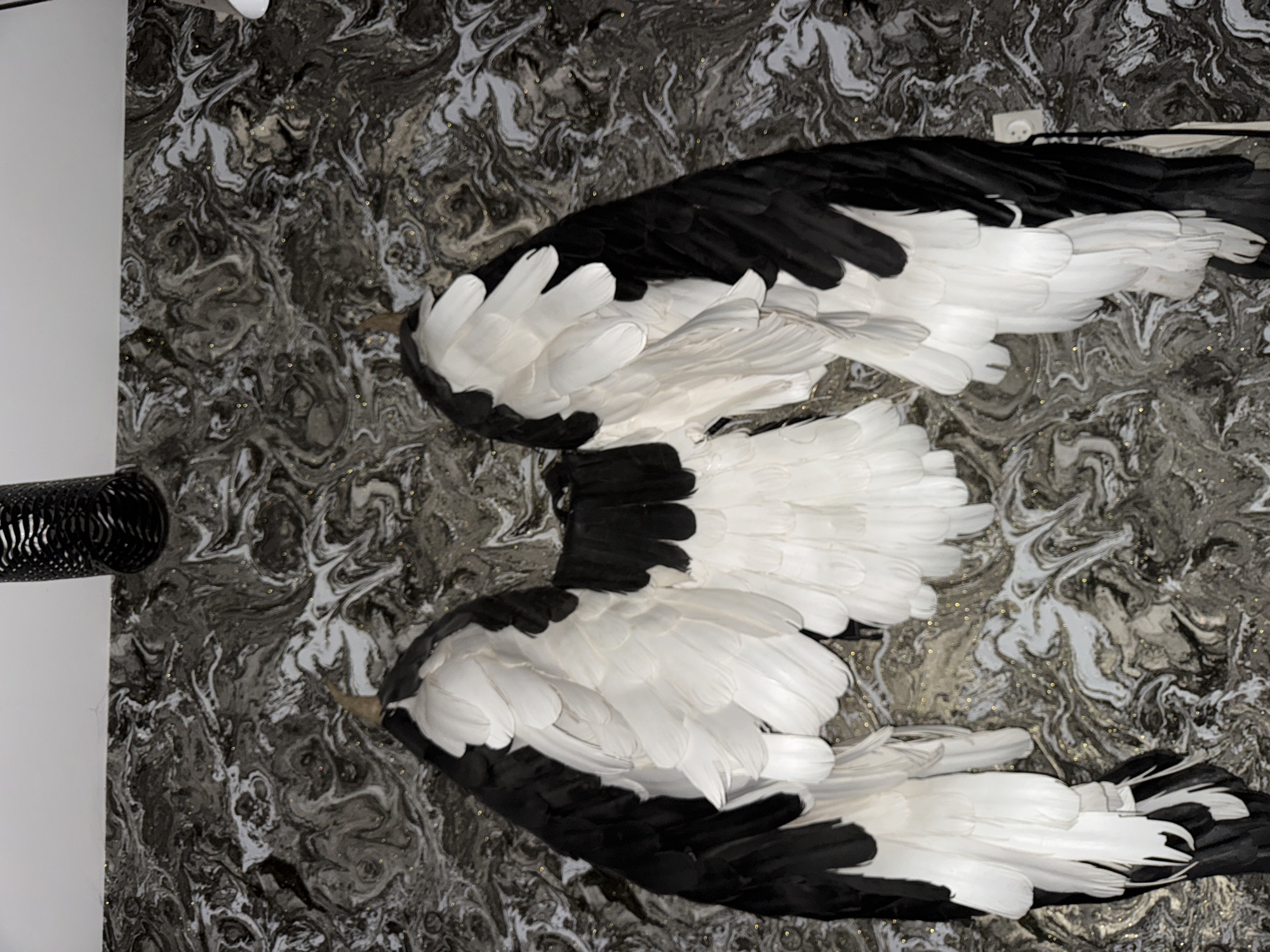 The image shows two pairs of stylized wings, made of black and white feathers, mounted on a marble-patterned wall. A metallic, cylindrical object is visible on the left side of the image. The context provided indicates this image is taken in Chaikovsky, Russia.