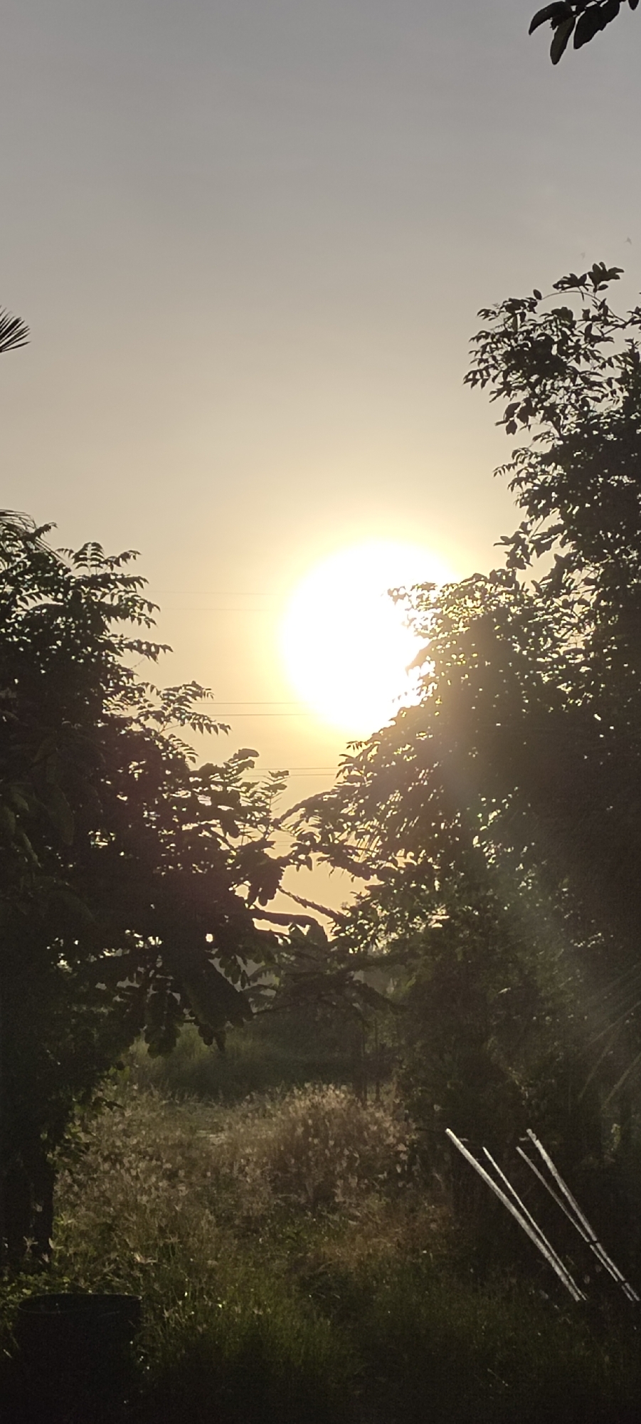The image depicts a sunrise or sunset scene, likely in a rural or semi-rural setting near Lhokseumawe, Indonesia. A bright sun dominates the center of the frame, partially obscured by foliage from trees on either side. These trees form a natural framing, directing the eye towards the sun. Below the trees is a grassy path or field leading into the distance. A few metal rods or poles are visible in the lower right corner of the frame. The sky is a pale yellow-white near the sun, fading to a lighter greyish tone towards the top. There are no people visible in the scene. The overall impression is one of tranquility and natural beauty.
