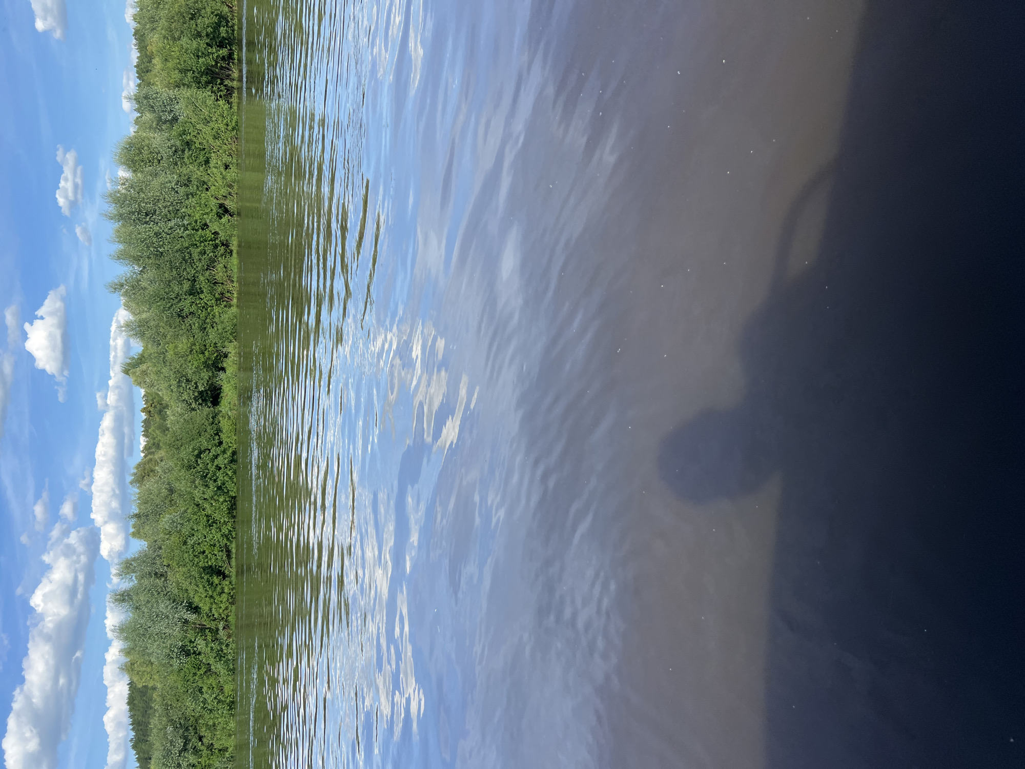 The image depicts a tranquil river scene under a bright, partly cloudy sky. The foreground is dominated by the dark, rippling surface of the water, with the faint shadow of a person and a boat visible on the lower right. The middle ground showcases the river's expanse, reflecting the sky and the lush green foliage of the opposite bank. This bank is densely covered with trees and other vegetation, creating a natural barrier that extends across the horizon. The sky above is a vibrant blue, dotted with fluffy white clouds, suggesting a pleasant, sunny day. The location is the city of Sosnovka, Russia, implying a natural, undeveloped riverfront characteristic of the region.