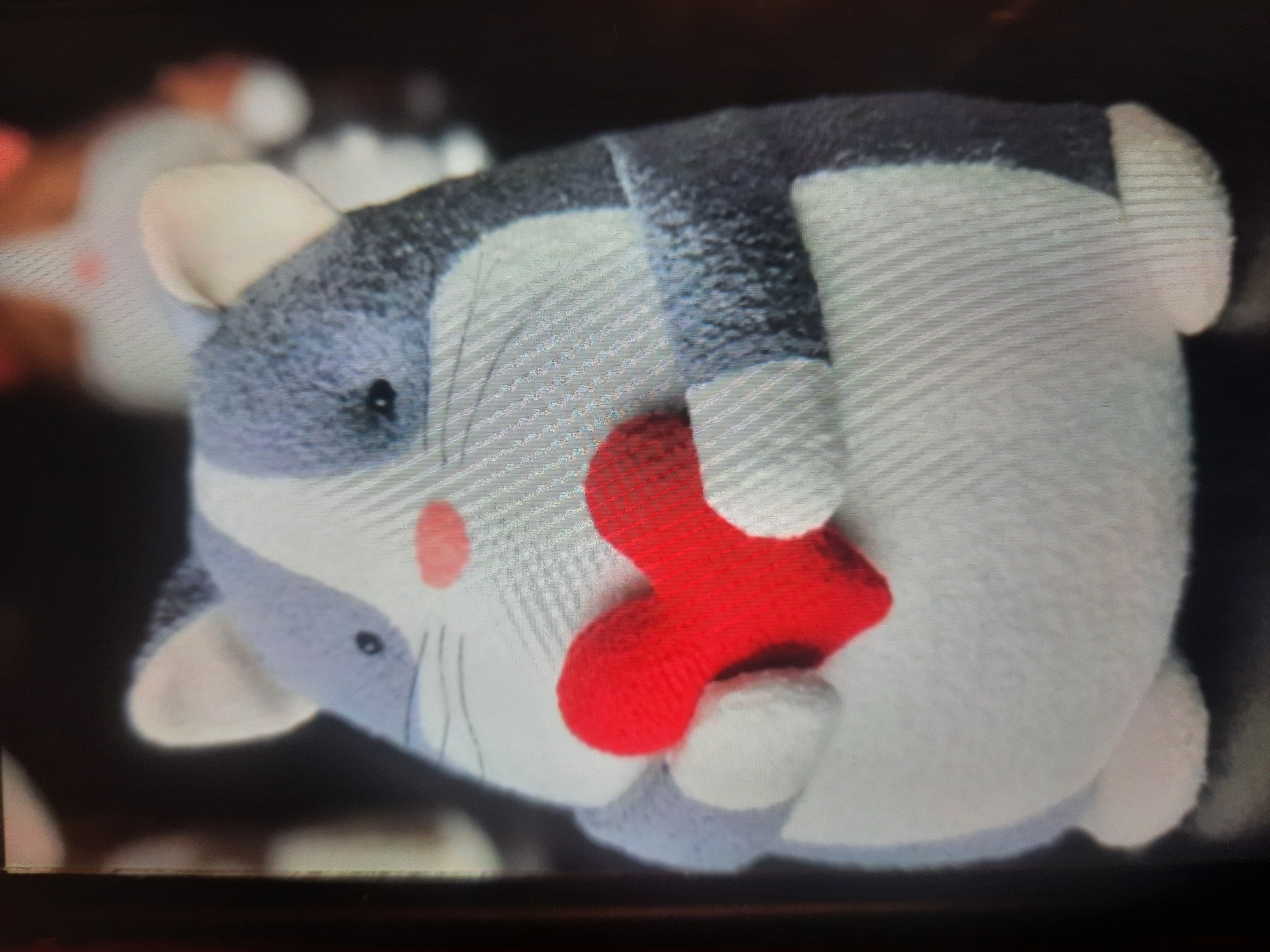 The image shows a close-up of a plush toy shaped like a cat. The cat is predominantly gray and white with black speckles and has light pink ears and a light pink nose. It is holding a bright red heart in its paws. The background is dark and blurred, with other plush toys faintly visible. The image quality is low, with visible pixelation. There is no information about the location of Rosenheim, Germany, in this image.