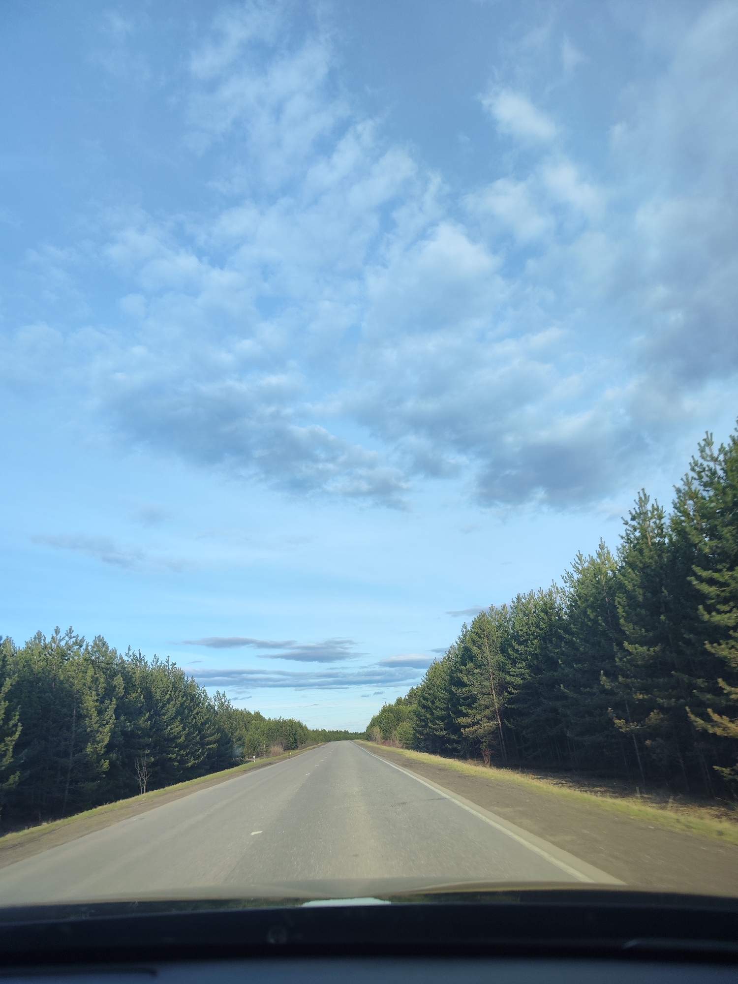 The image shows a view from inside a vehicle, likely a car, driving on a two-lane road. The road is straight and stretches into the distance. On either side of the road, there are dense rows of evergreen trees, primarily pine trees, creating a forest environment. The sky above is light blue with scattered clouds, some of which are dark. The location of the scene is a road surrounded by a forest. The location in the city is Unknown, Unknown.