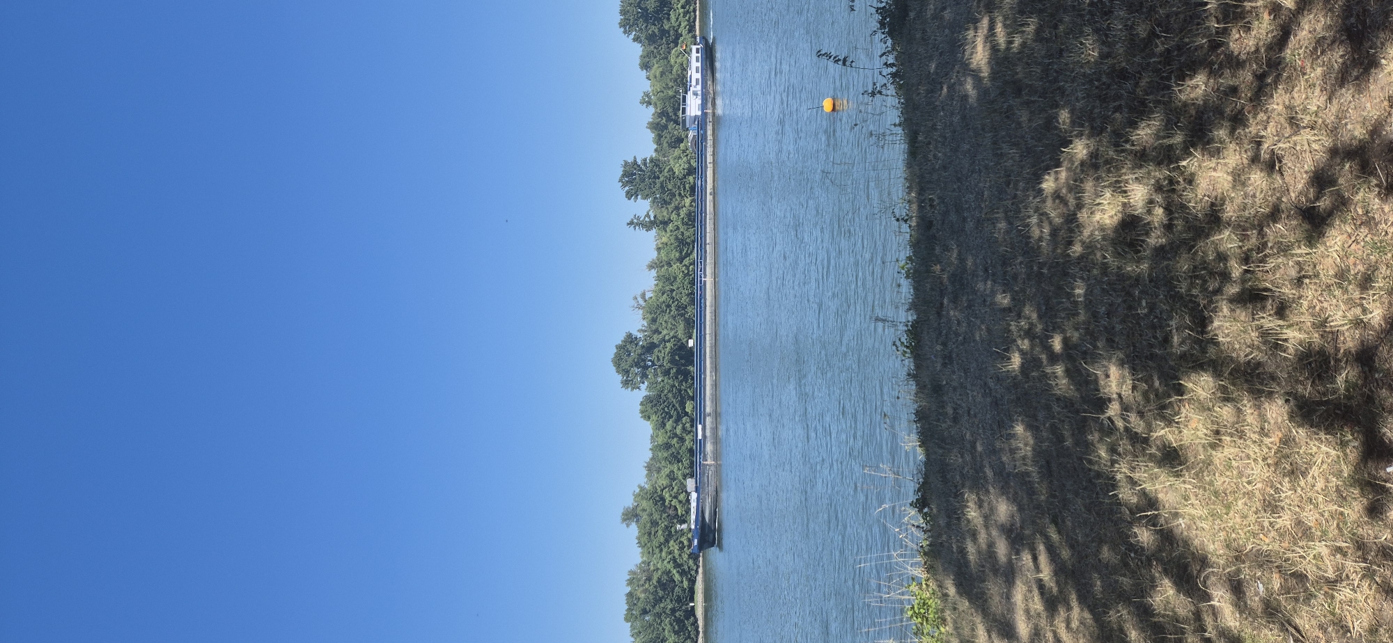 A wide barge is traveling down the Rhine River, with the city of Mainz, Germany, on the far bank. The barge is dark gray with a blue stripe along its length and a white superstructure at the stern. Trees line the riverbank in Mainz. The foreground shows dry grass and shadows from trees. A yellow buoy is visible in the river. The sky is clear and blue.