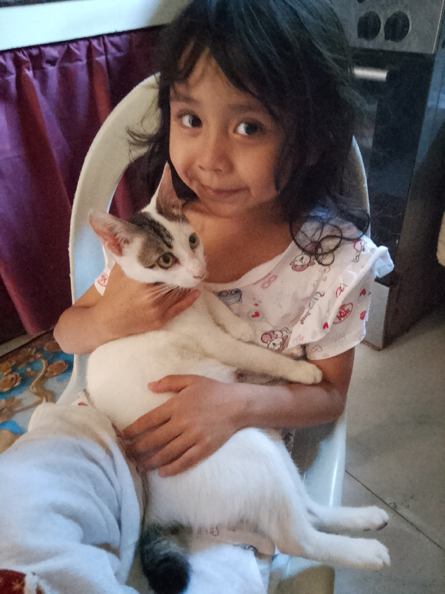 A young girl with dark hair is holding a white cat with gray markings in her arms. She is sitting on a white plastic chair. The girl is wearing a white t-shirt with a pattern of cartoon characters and hearts. The cat is looking to its right. In the background, there is a maroon curtain and a dark countertop with two circular indentations. The flooring appears to be tiled. The scene is indoors, likely in a residential setting.