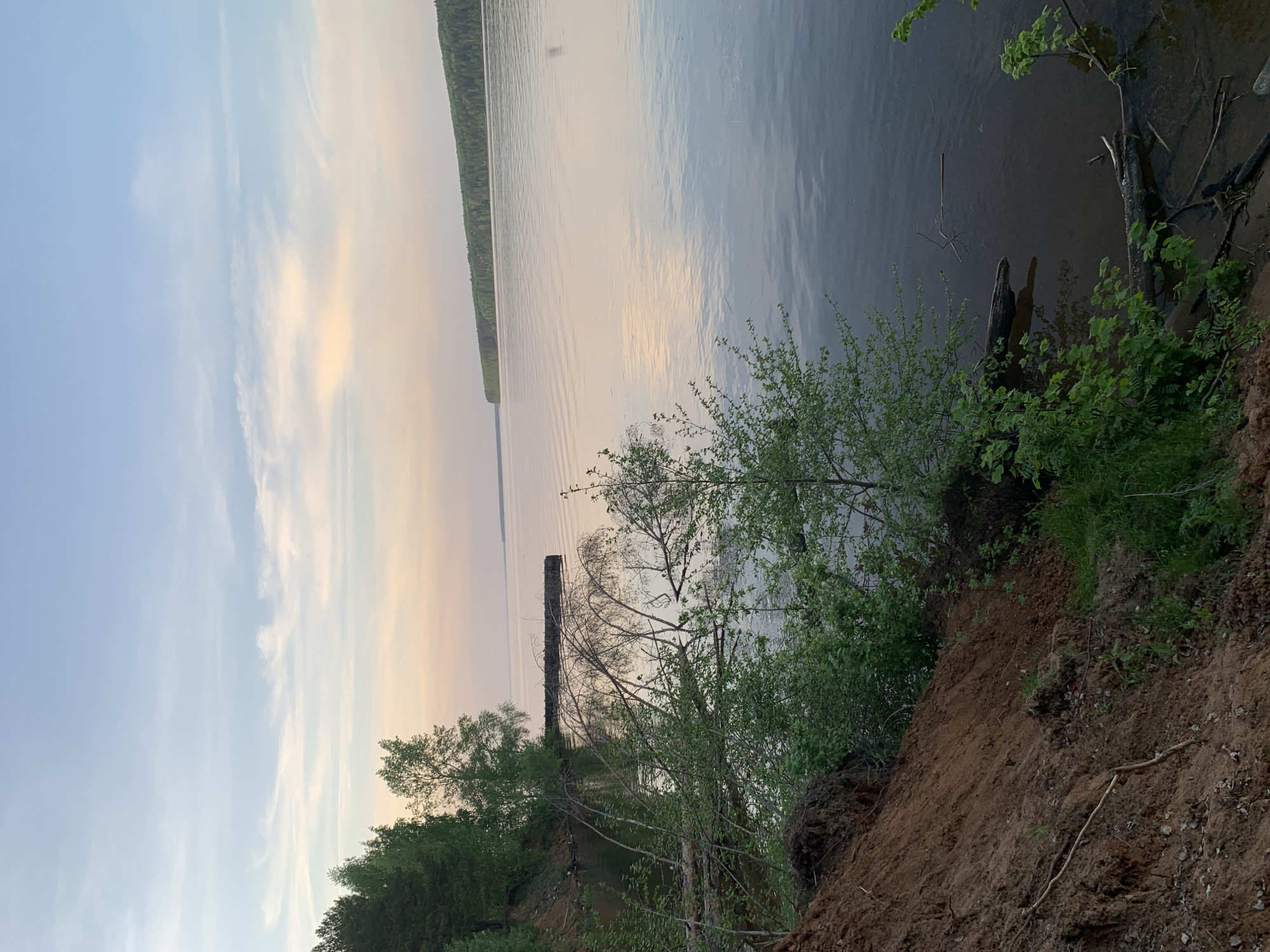 The image depicts a body of water, likely the Kama River, as the city of Chaikovsky, Russia, is situated on its banks. The view is from an elevated position on a shoreline. In the foreground, an eroded embankment is visible, covered with loose soil and vegetation, including small trees and grass. The water stretches into the distance, appearing calm and reflecting the colors of the sky, which displays a mix of blue and muted orange hues suggesting either sunrise or sunset. Across the water, a line of trees can be seen on the opposite shore. At the water's edge near the foreground, driftwood and submerged branches are present. A structure, possibly a pier or remains of one, is visible submerged in the water.