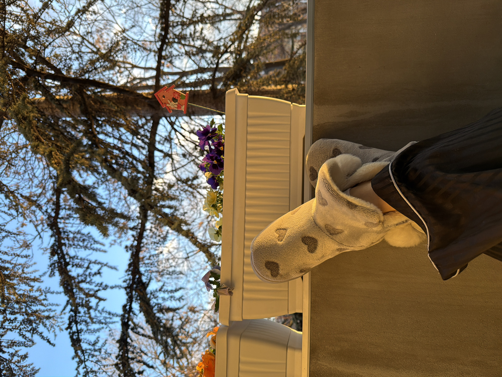 The image presents a first-person view of someone wearing heart-patterned slippers and striped pajama pants, likely standing on a balcony or patio. Adjacent to the slippered feet is a white flower box containing various flowers, including purple and yellow pansies. Beyond the flower box, a tree with bare branches reaches up into a pale blue sky. In the tree, a small, decorated birdhouse is visible.
Given the prompt to specify a location in Plovdiv, Bulgaria, it's plausible this scene is from an apartment balcony overlooking a park or garden in the city. Without additional context, however, a precise location is impossible to determine.