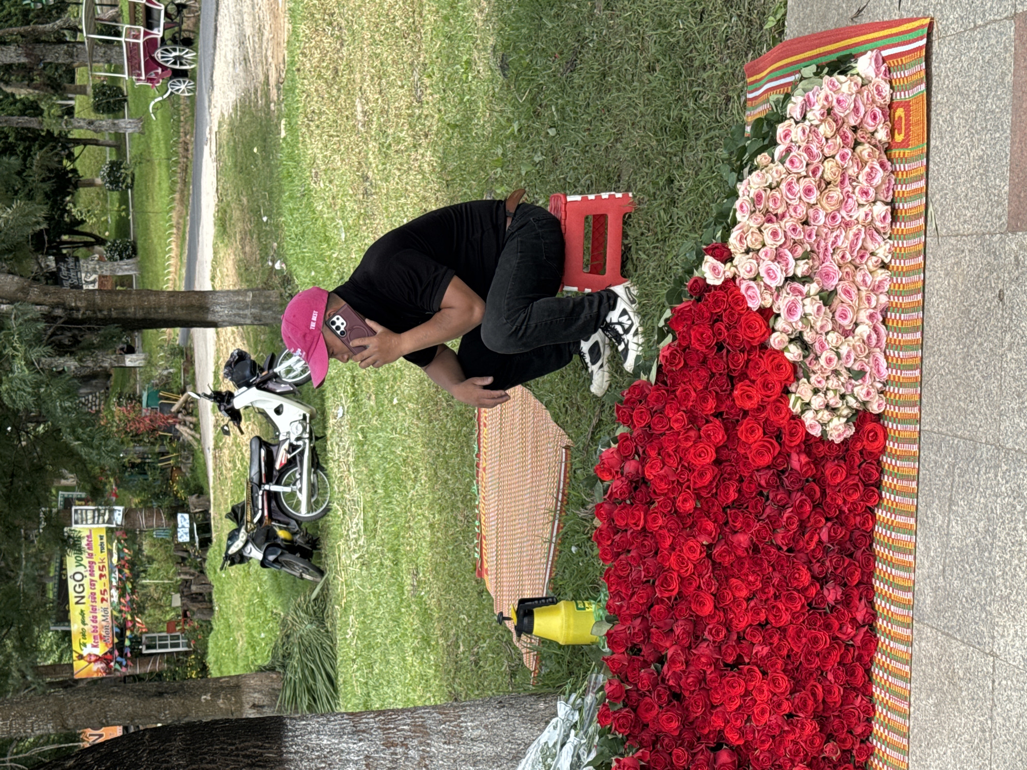 The image depicts a street scene in Da Lat, Vietnam, where a man is sitting on a small red stool and talking on his phone. He is wearing a black shirt, black pants, and a pink baseball cap. In front of him, a large display of red and pink roses is arranged on the ground. A yellow spray bottle is also visible near the roses. Behind the man, two motorcycles are parked. In the background, there are trees, grass, and a horse-drawn carriage. A banner with Vietnamese text is hung on a tree. The overall setting suggests a market or roadside stall.