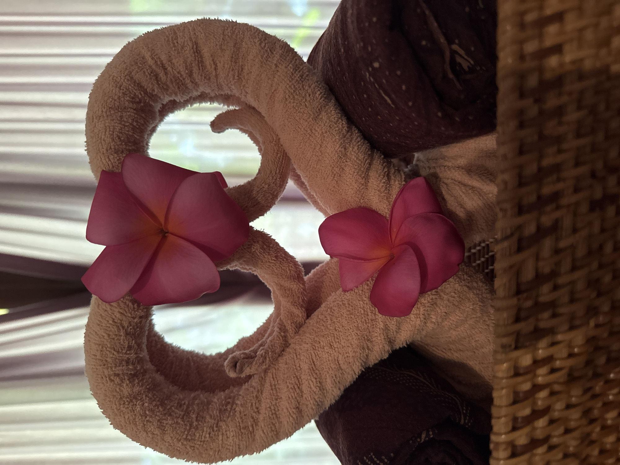 A close-up shot shows a towel folded into the shape of an "8" with two pink frangipani flowers placed on it. A rolled dark brown patterned fabric rests nearby. The background features horizontal blinds, and a woven wicker structure is visible on the right side. The location is Sukawati, Indonesia.