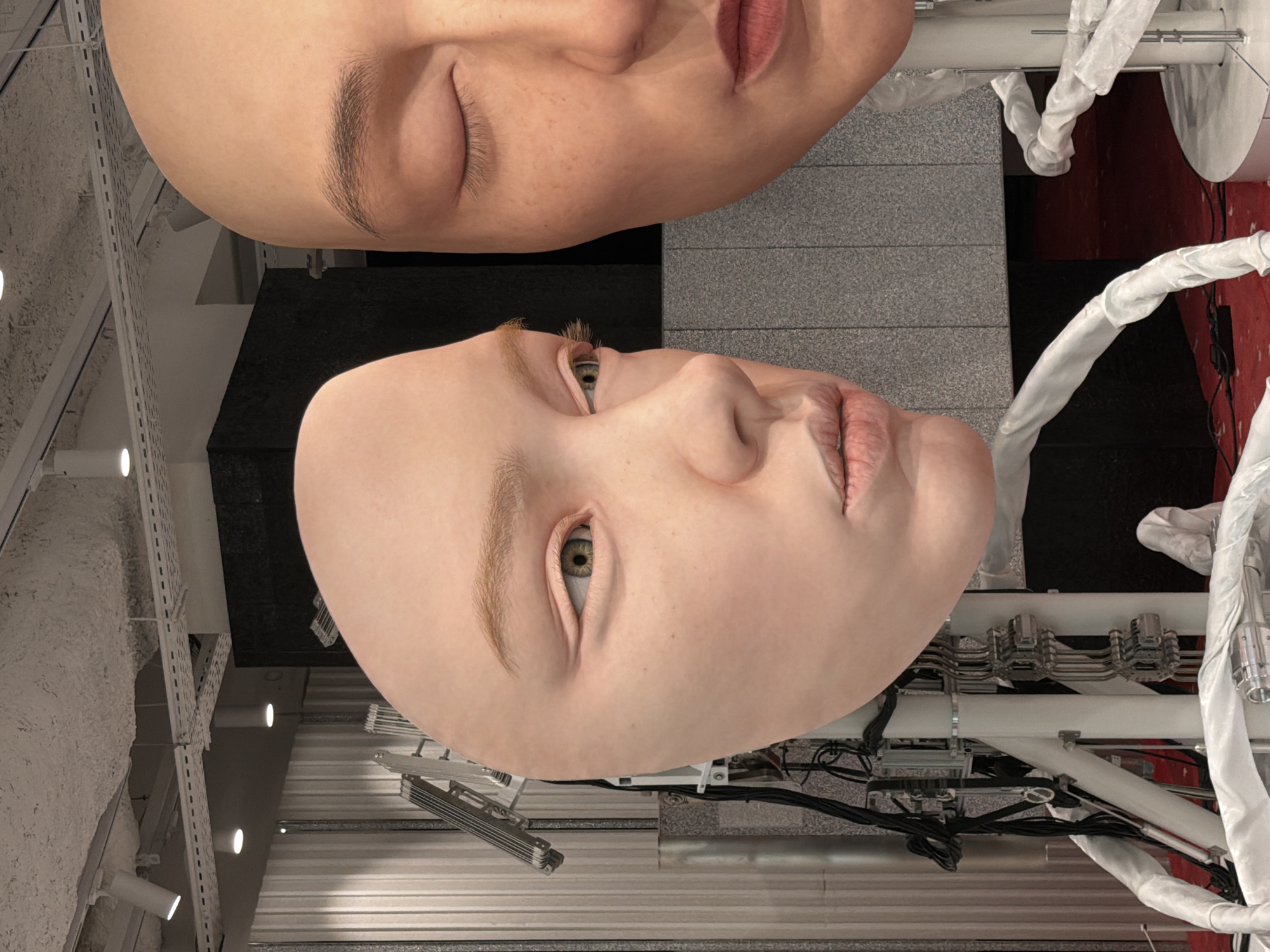 The image shows two mannequin heads displayed within what appears to be an industrial or installation art setting. The mannequins are positioned upside down relative to the viewer. The upper mannequin has closed eyes, while the lower one has its eyes open and facing the viewer. The lighting is bright and even, highlighting the realistic skin texture and subtle details of the mannequins' features.
The surrounding environment consists of a mix of industrial and architectural elements. Metallic pipes and machinery, partially covered in white fabric, are visible around the mannequins. The backdrop includes walls with exposed electrical conduits and a combination of gray and black paneling. The overall impression is that of a modern art installation or a surreal juxtaposition of human-like figures with industrial infrastructure.
While the image provides architectural details, it lacks sufficient contextual information to definitively place it within a specific location in Paris, France. There are no identifiable landmarks, signs, or architectural features that would allow for precise geographical identification.