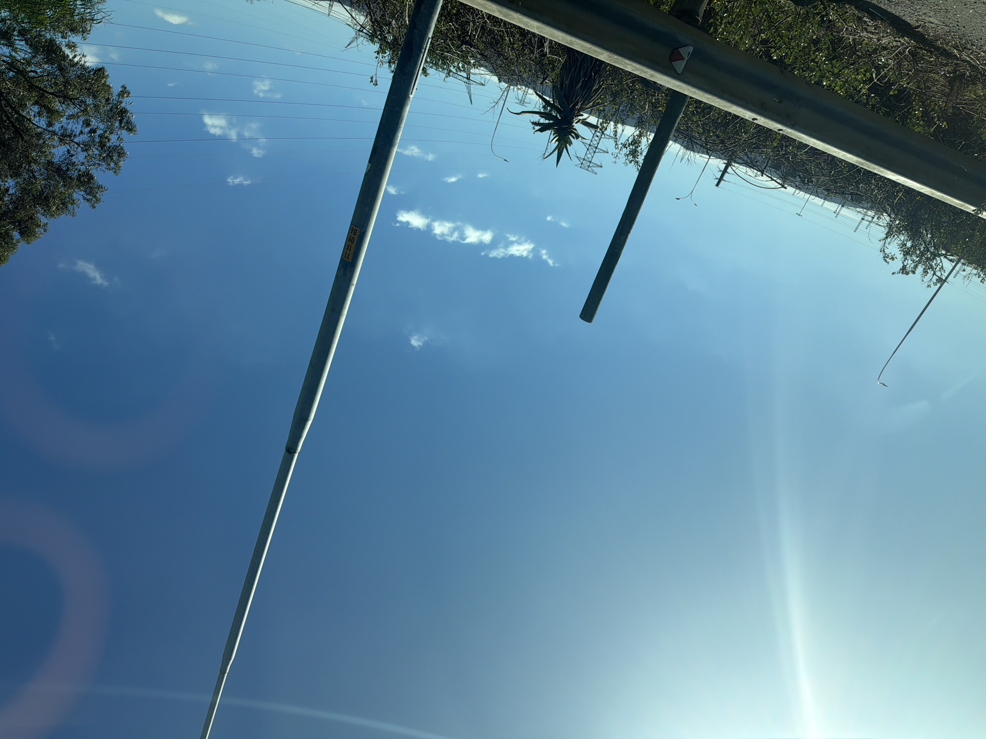 The image, originally rotated 90 degrees counter-clockwise, depicts a bright, clear blue sky occupying the majority of the frame, with a prominent sun lens flare emanating from the lower right. Several small, scattered white cumulus clouds are visible against the blue.
The top third of the image shows a landscape featuring both natural elements and infrastructure. A grey metal guardrail runs horizontally across this section, supported by vertical posts. A small red and white triangular reflector is attached to the guardrail on the right side. Beyond the guardrail, dense, dry-looking green vegetation, possibly scrub, covers the terrain. In the distance, several electricity pylons with power lines are faintly visible against a lighter horizon. A large succulent plant with spiky leaves, resembling an aloe or agave, grows near the guardrail on the right. A portion of a tree with dark green foliage is visible on the far left.
Two grey-silver poles diagonally cross the sky from the bottom edges towards the upper middle. The pole on the left has a rectangular yellow sticker with black text, oriented vertically. The visible text reads "98", "60", "TF", and "LL" (or "11") from top to bottom.
The scene captures a static moment under bright daylight, indicating clear and sunny weather, likely morning or afternoon. No specific activity or event is taking place. The type of vegetation, infrastructure, and clear sky are consistent with locations in Goodwood, South Africa.