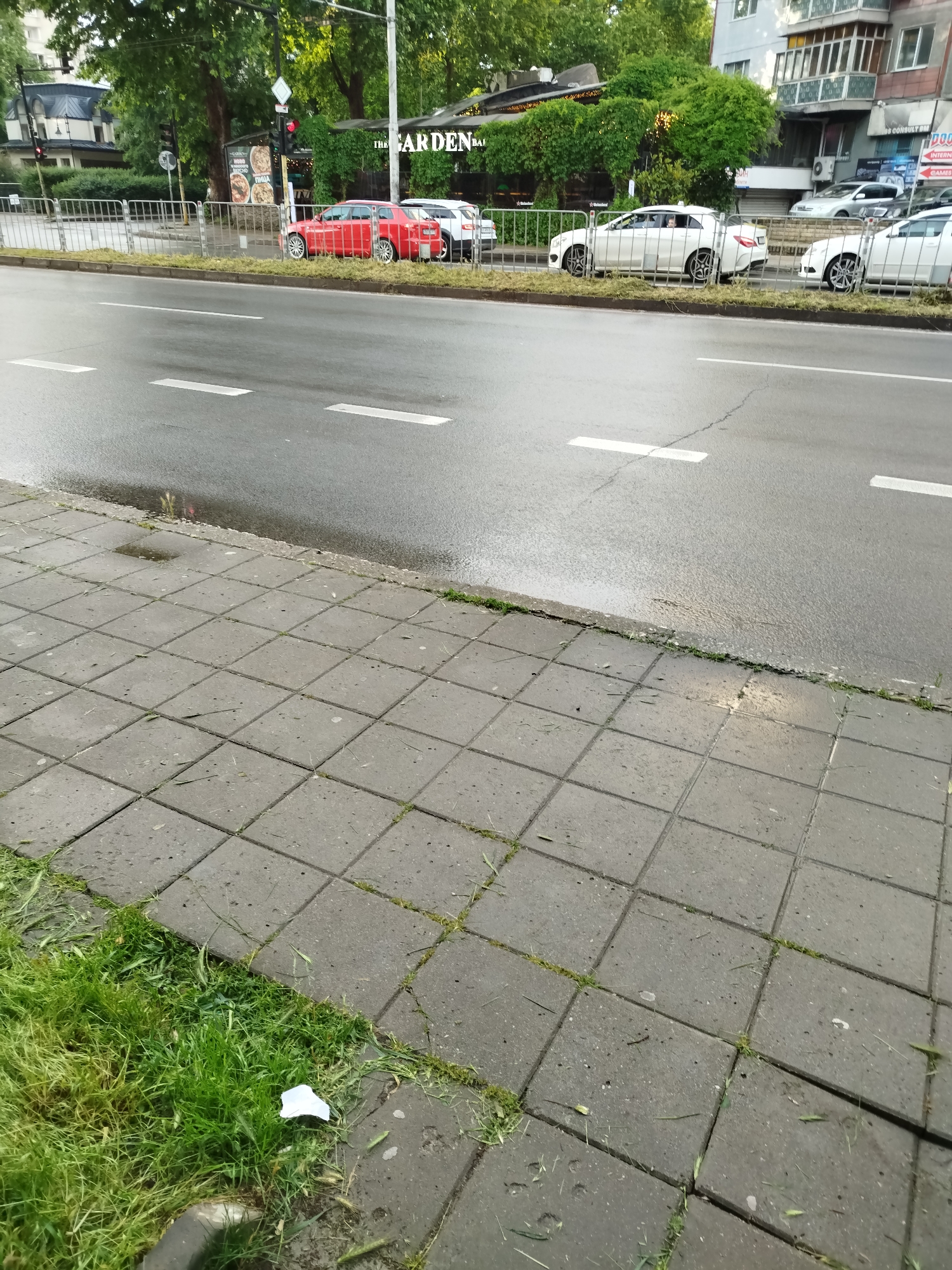 This media file captures an outdoor street scene in Varna, Bulgaria, likely taken during the daytime after a recent rain, as indicated by the wet asphalt road and small puddles. The sky appears overcast.
In the foreground, a concrete sidewalk with square paving slabs is visible, featuring patches of grass growing in the cracks and scattered clippings from recently cut grass. A small piece of white litter lies on the grass near the sidewalk. Beyond the sidewalk, a two-lane asphalt road stretches into the distance, marked with white dashed lines.
A metal barrier fence separates the road and sidewalk from a parking area and buildings. Parked cars behind the fence include a red Alfa Romeo and several white vehicles, one of which is a Mercedes-Benz. A faint figure of a person is visible through the rear window of the white Mercedes.
In the background, lush green trees and bushes obscure parts of the buildings. One building facade is covered in green vines and displays a sign that partially reads "THE GARDEN BAR". Below this, a menu board features images of pizza and the Bulgarian word "ПИЦА" (Pizza). Another sign further down the street on a different building shows "CONSULT BM" and "INTERNET GAMES". A red traffic light is also visible on the left side of the street. A Heineken logo is visible on a dark structure.