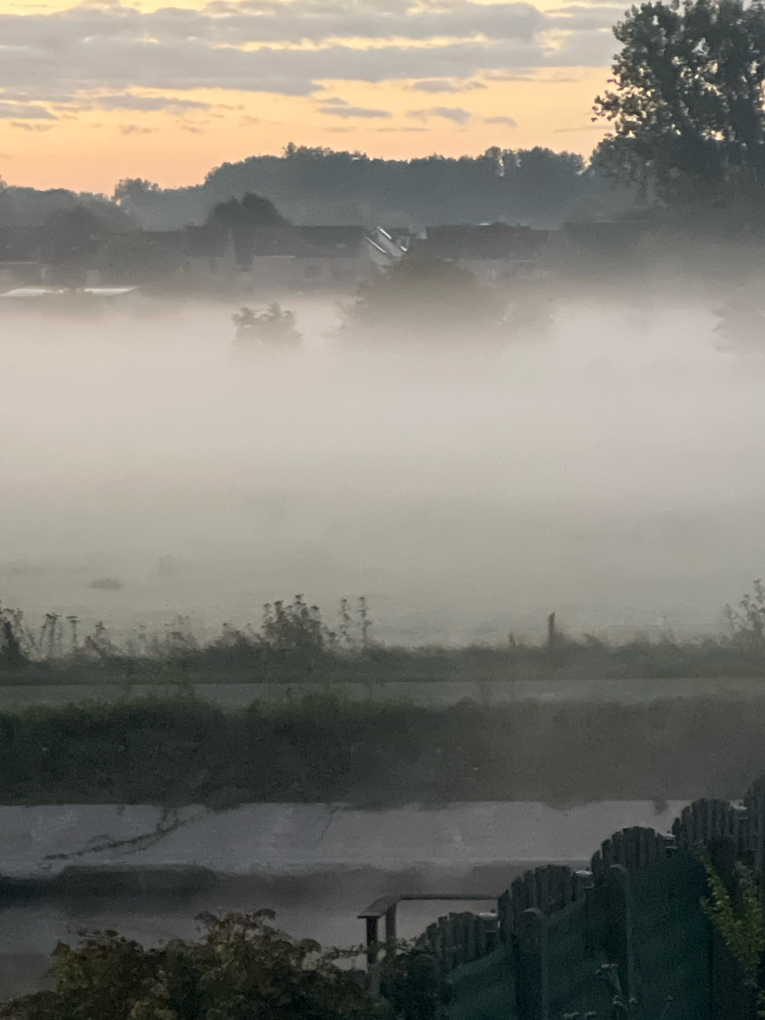 The image depicts a foggy landscape in Denderleeuw, Belgium, likely taken during sunrise or sunset. The sky is a blend of soft orange and grey clouds. In the middle ground, a thick layer of fog obscures most of the scene, but hints of houses and trees can be discerned through the mist. The foreground features a dark, grassy area with some vegetation, and a dark, textured surface that could be a fence or a wall. The overall impression is one of a quiet, misty morning or evening in a suburban or rural area.